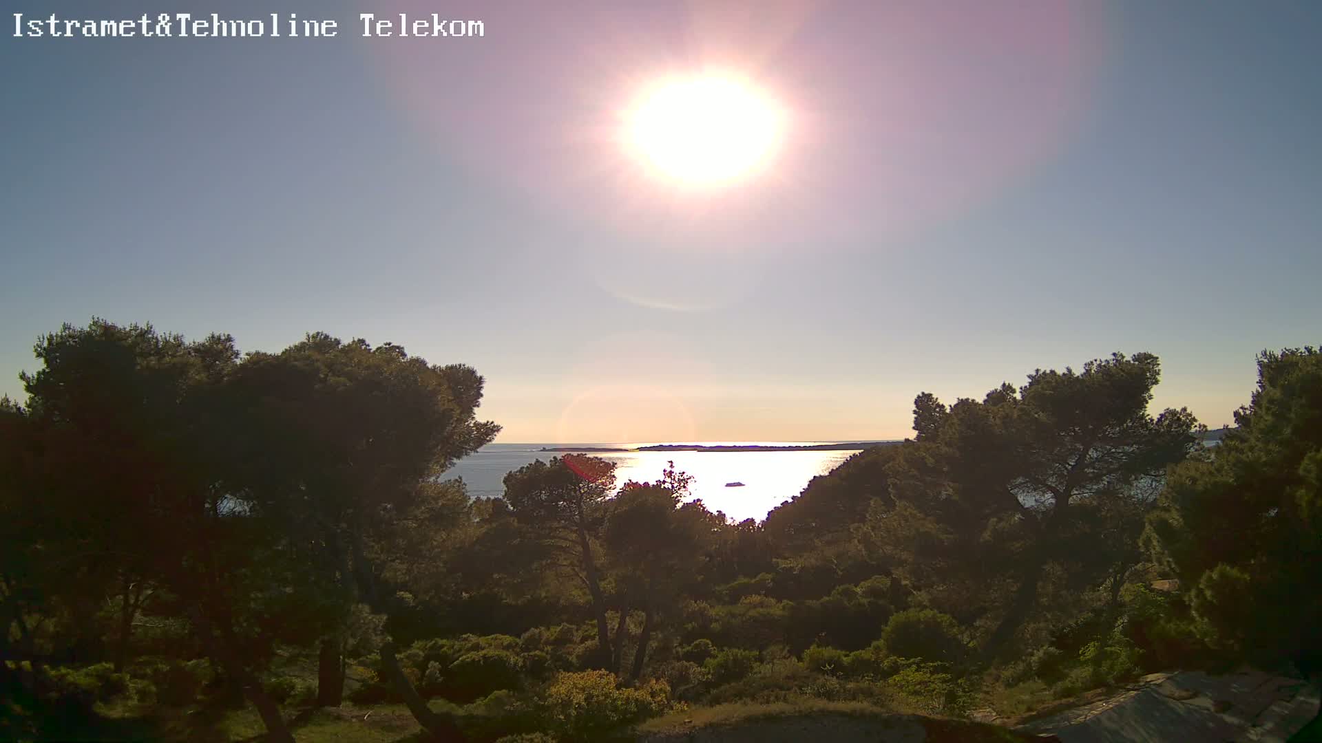 A bright sun shines over a calm sea, partially visible through a line of dark green trees.