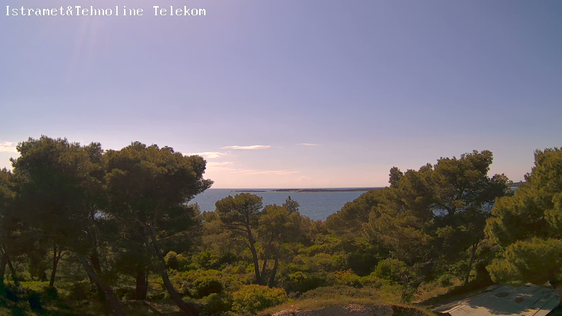 A clear, calm sea is visible beyond a hillside covered with dark green pine trees under a pale blue sky.