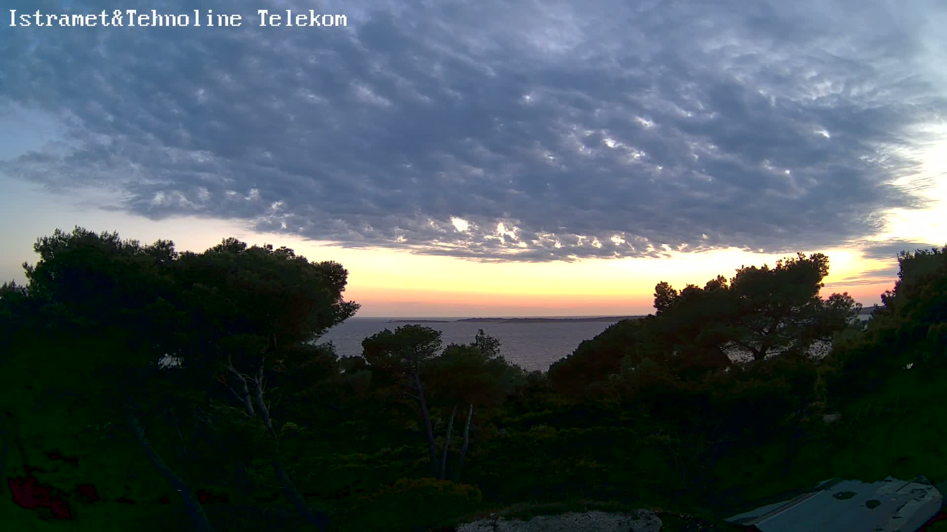 A partly cloudy sunset over a calm ocean, viewed from a hillside covered in dark green trees.