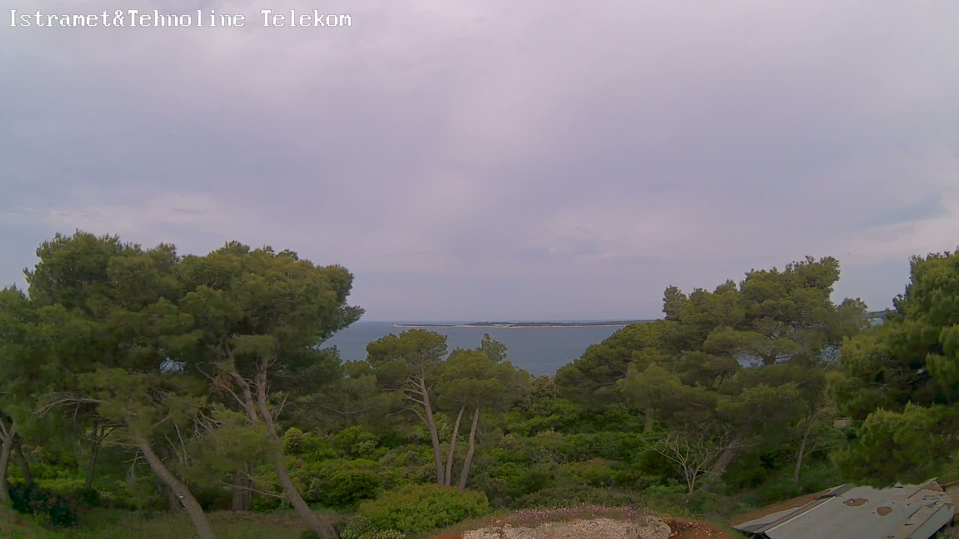 Overlooking a calm sea and distant island from a vantage point amongst lush green pine trees under an overcast sky.