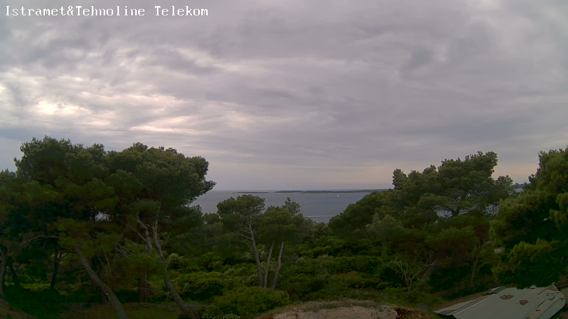 A view of a calm sea with a small island in the distance, partially obscured by a dense forest of evergreen trees under a cloudy sky.