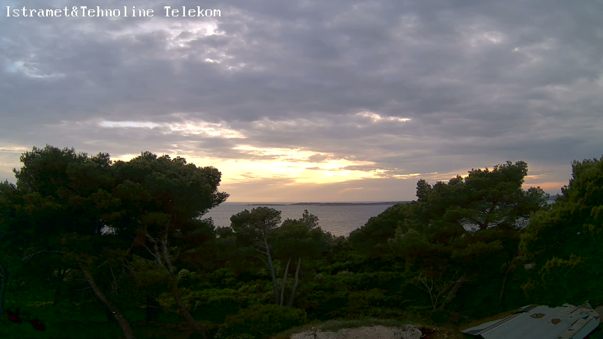 A partly cloudy sunset over a calm sea is viewed from behind a line of dark green trees.
