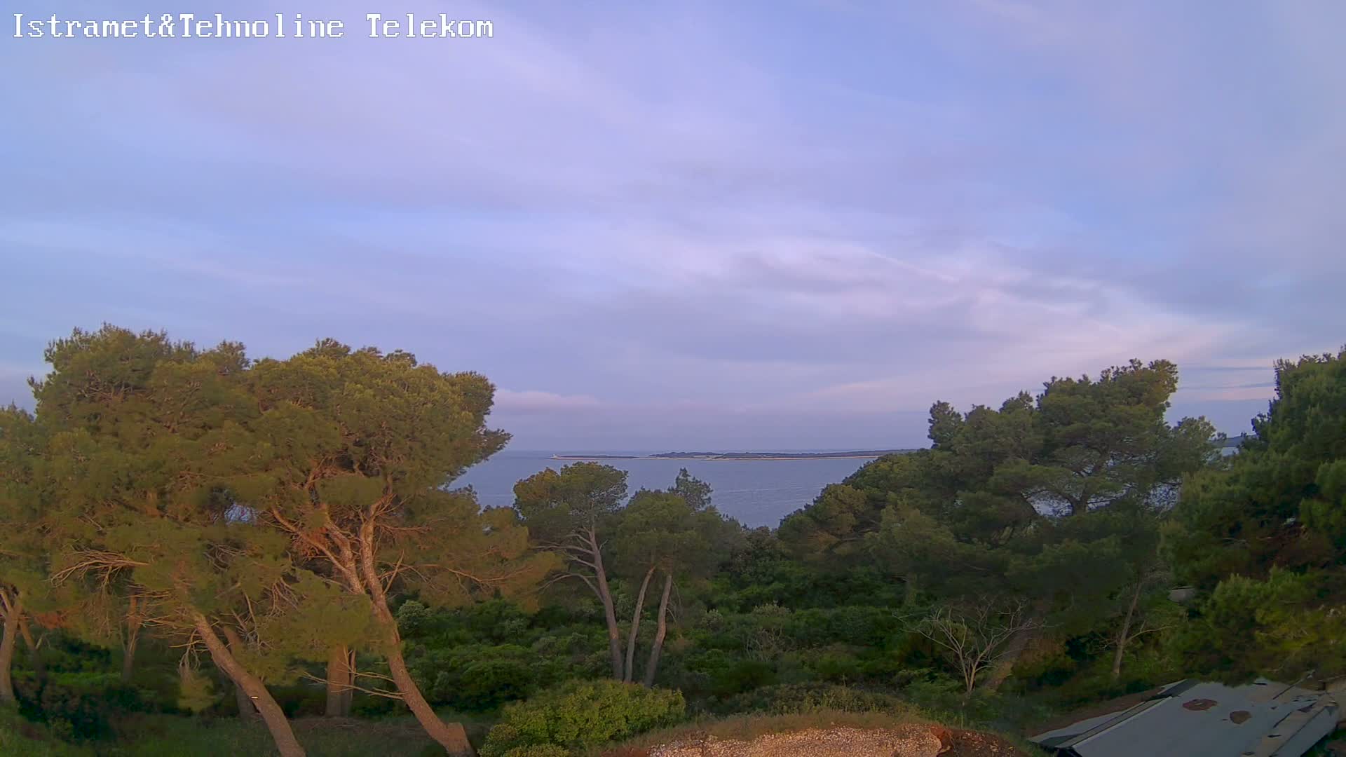 A tranquil coastal scene under a mostly clear, pale sky shows a calm body of water beyond a lush, verdant hillside dotted with pine trees.