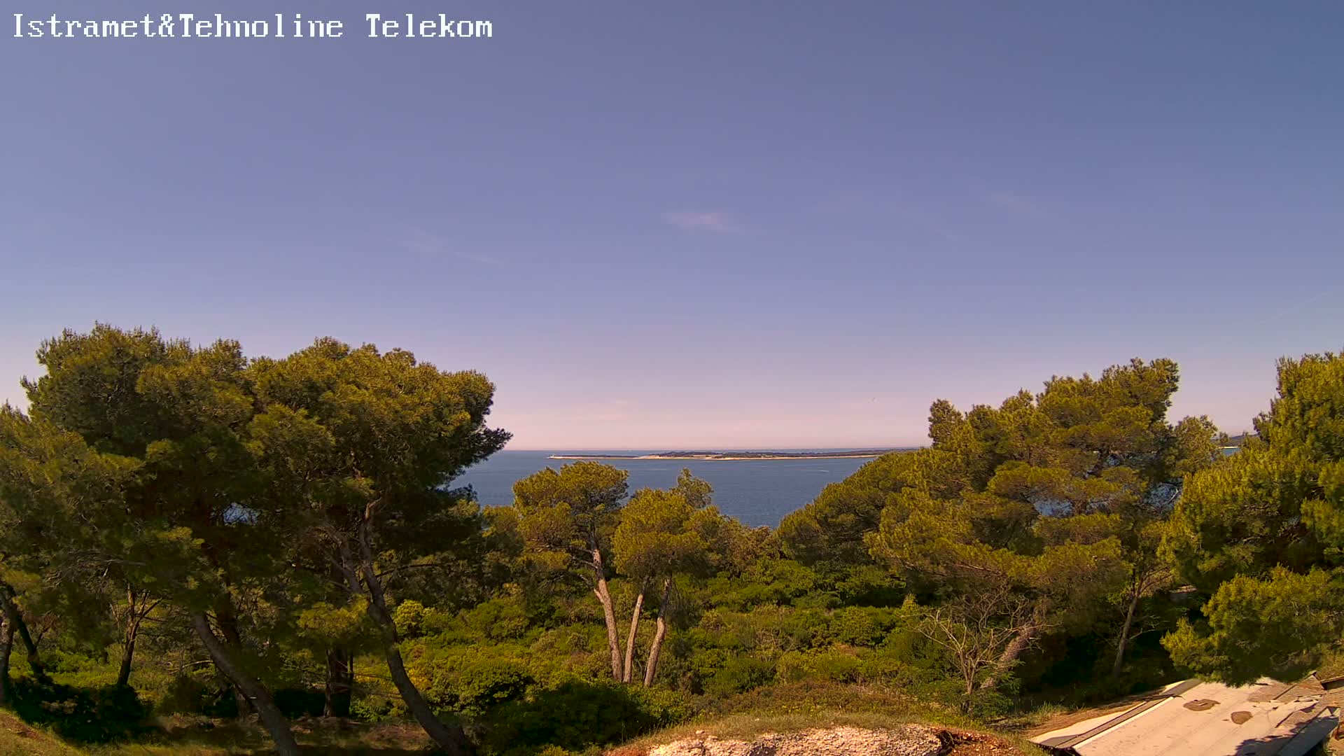 A tranquil coastal scene under a clear blue sky shows a calm body of water with a distant island, partially obscured by lush green pine trees and low-lying vegetation in the foreground.