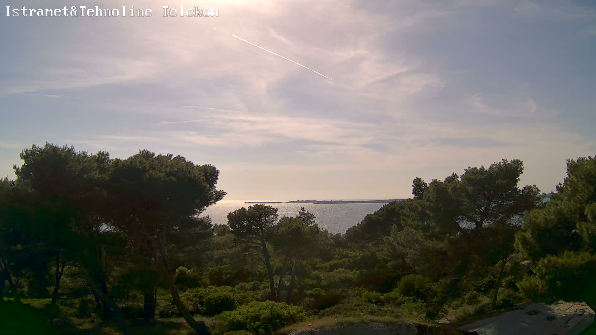 A partly sunny day shows a calm sea viewed from a hillside covered in dark green pine trees.