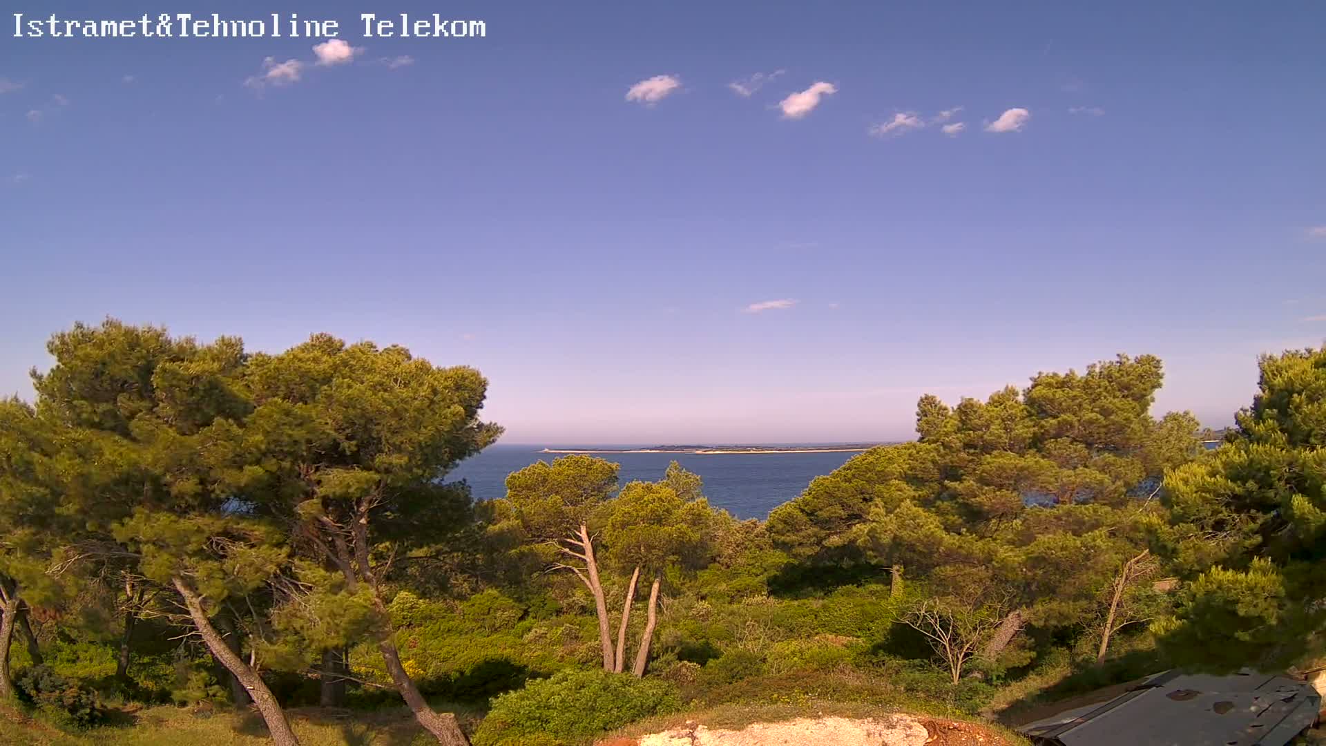 A view from a hillside shows a calm blue sea with a distant landmass, under a mostly clear blue sky with a few small clouds, and many green pine trees in the foreground.