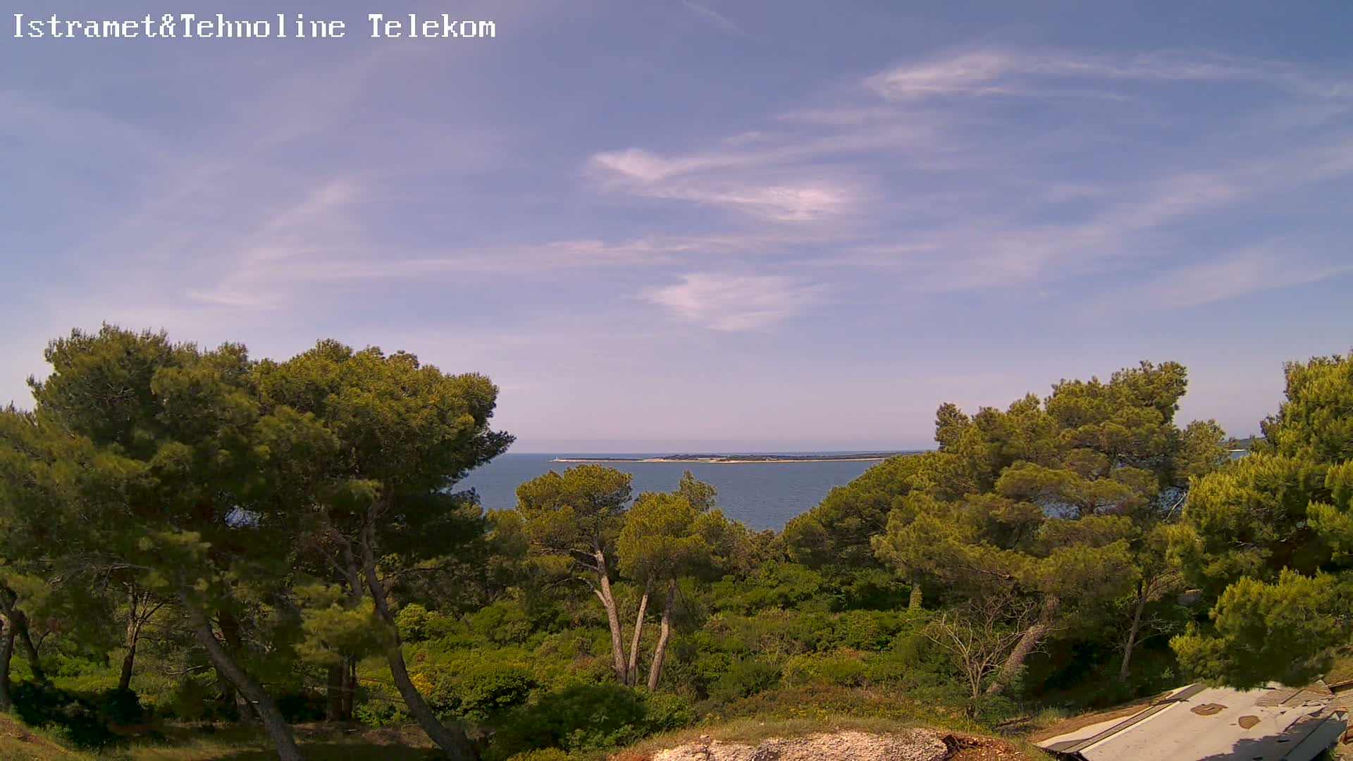 A tranquil seaside view reveals a calm ocean under a partly cloudy sky, with lush green pine trees dominating the foreground.
