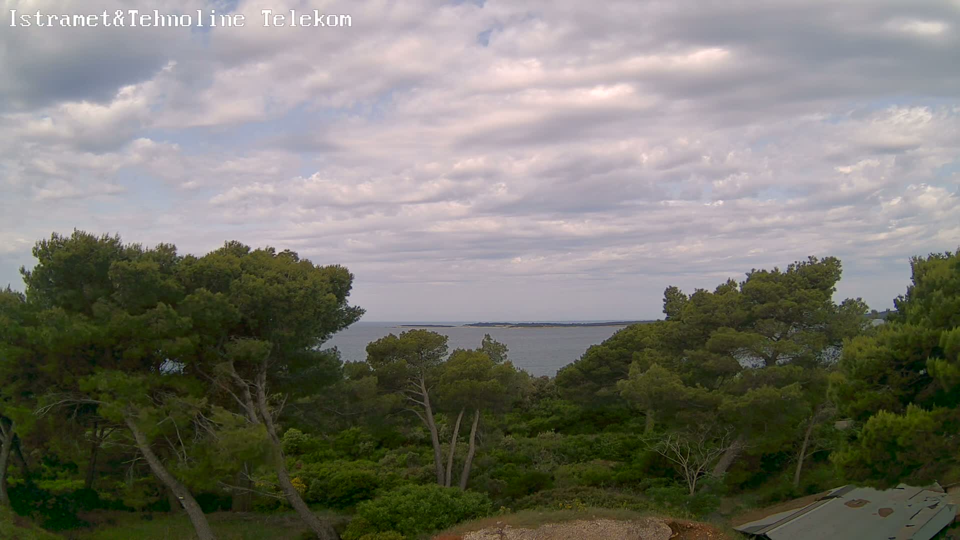 A partly cloudy sky overlooks a calm sea visible through a dense grove of green trees.