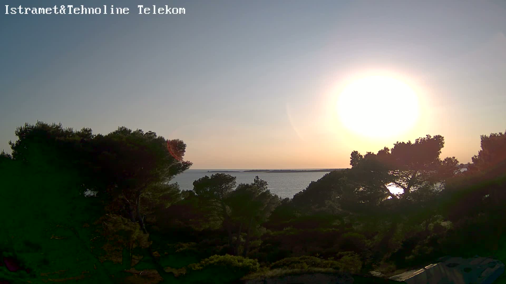 A bright sun sets over a calm body of water, partially obscured by dark green trees in the foreground.