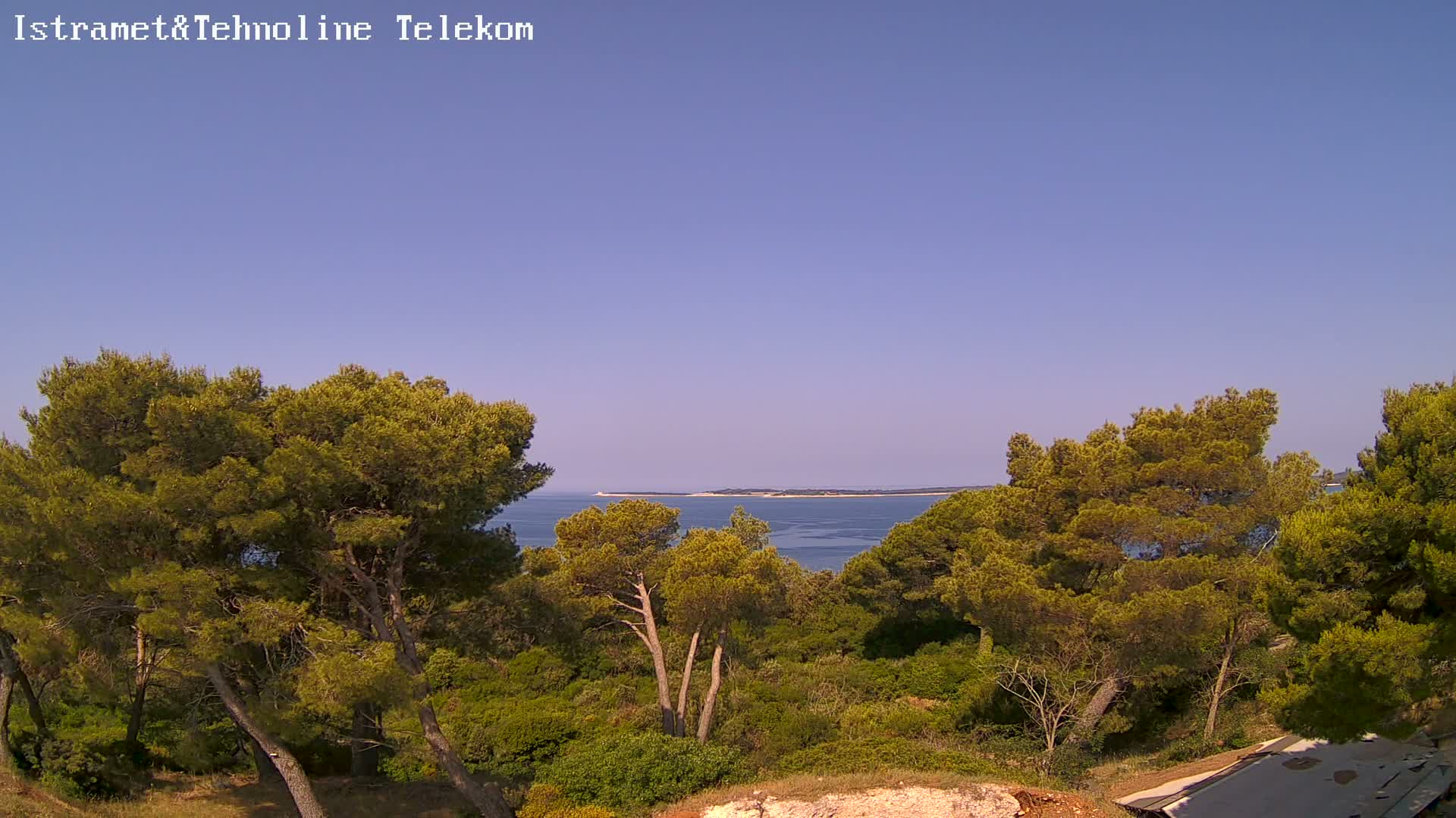 A clear, sunny day reveals a tranquil coastal scene with lush green pine trees overlooking a calm sea and a distant island.