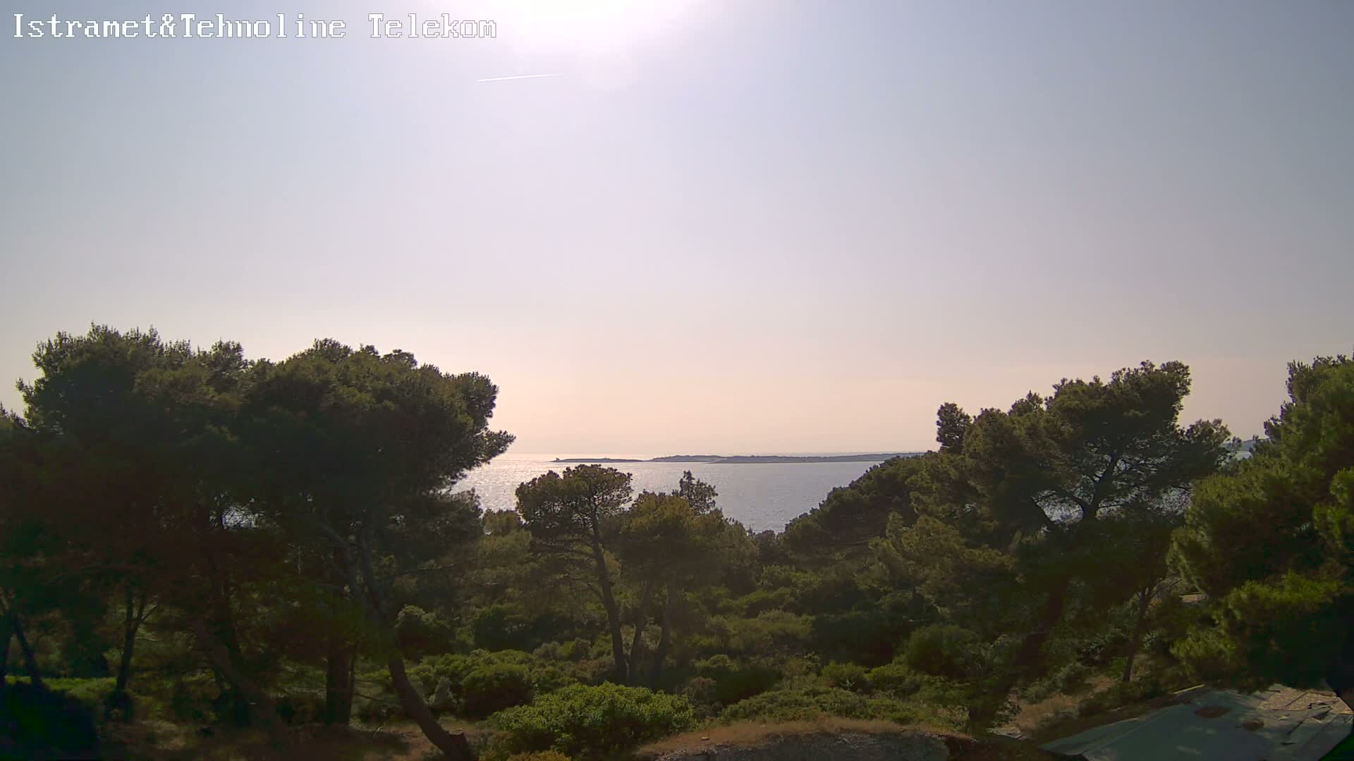 A calm, clear day reveals a view of a tranquil blue sea with islands in the distance, partially obscured by lush green pine trees on a hillside.