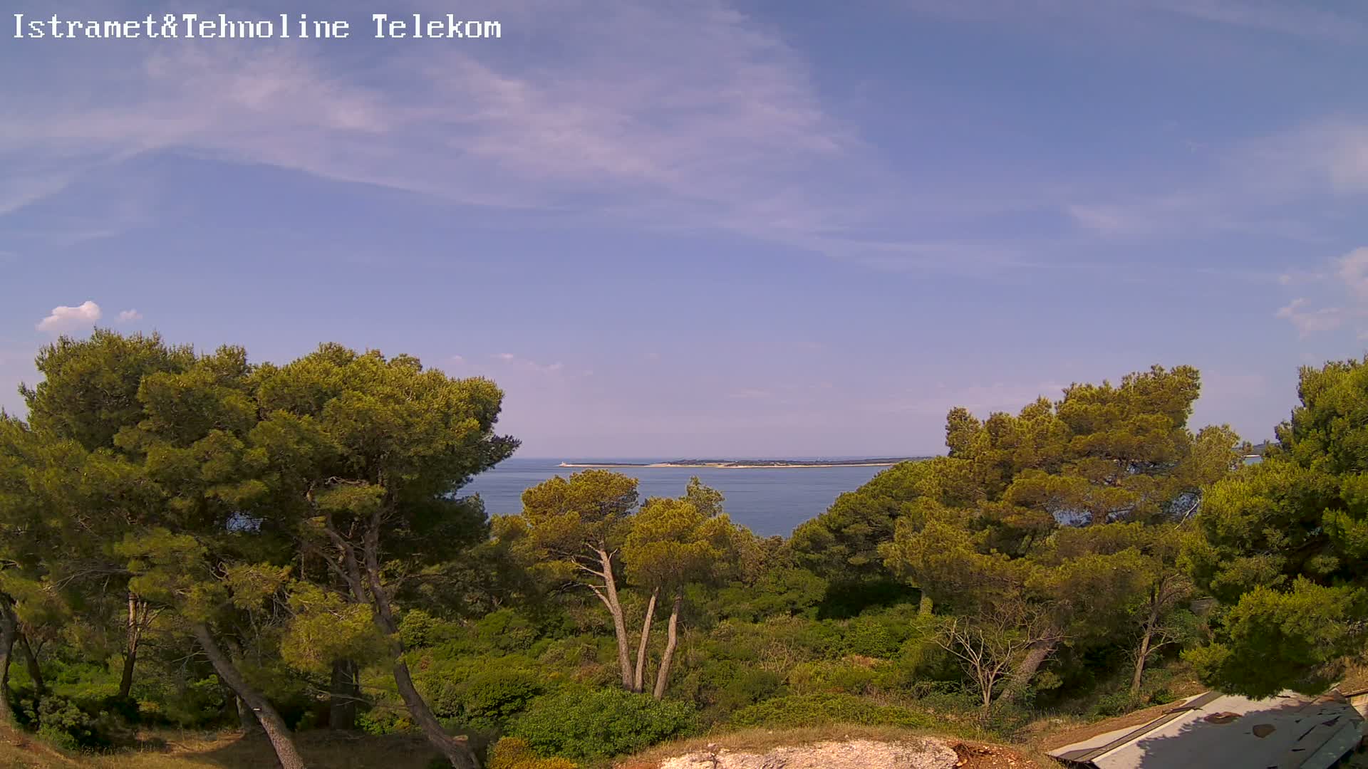 A partly cloudy blue sky overlooks a calm sea, visible through a lush landscape of green pine trees and low shrubs.