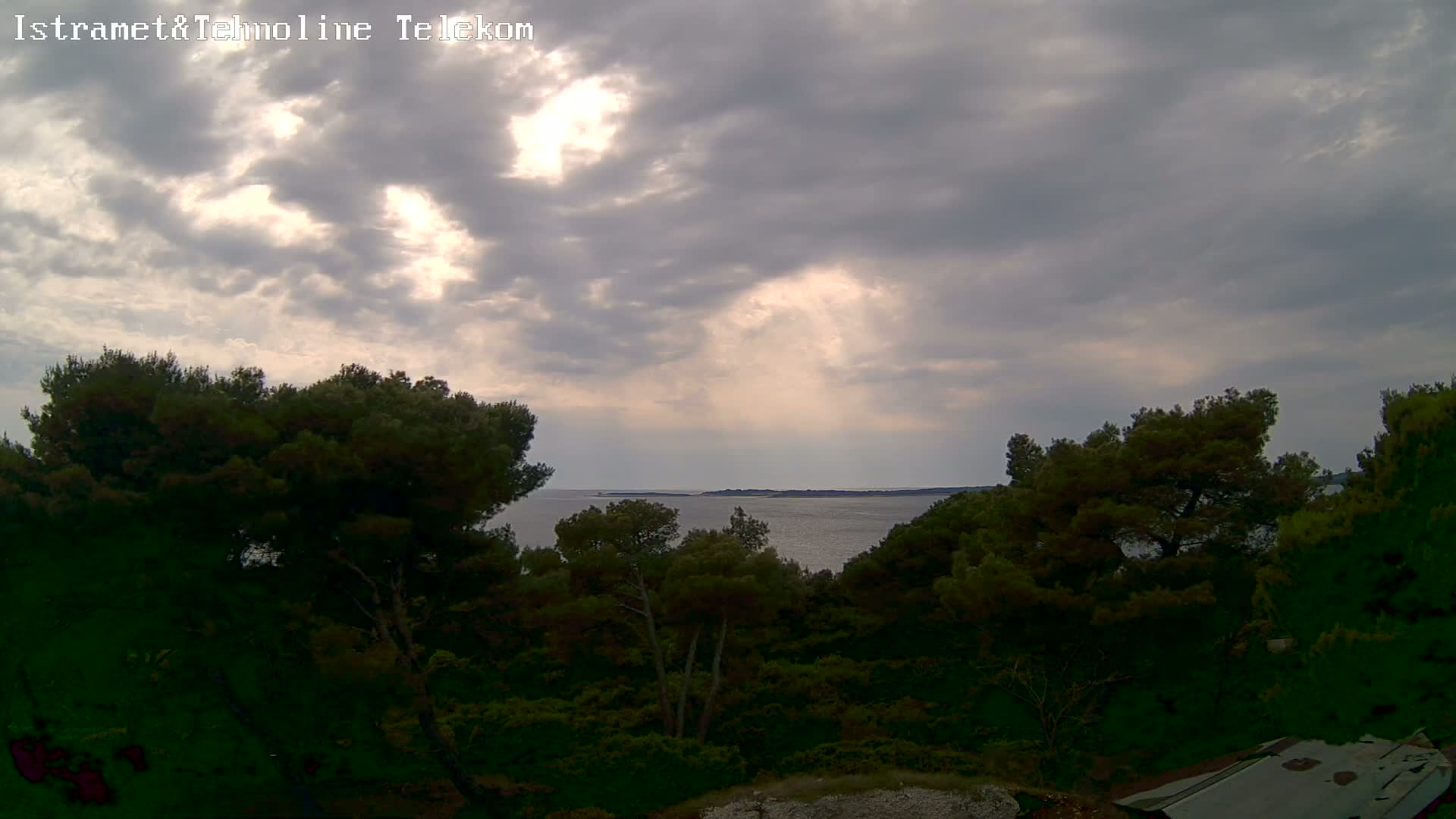 A partly cloudy sky over a calm sea, viewed from behind a line of dark green trees.