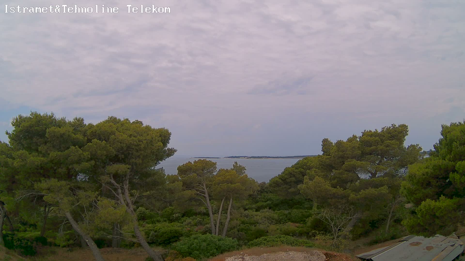 A calm, overcast day reveals a view of a sea with a distant island, partially obscured by lush green pine trees in the foreground.