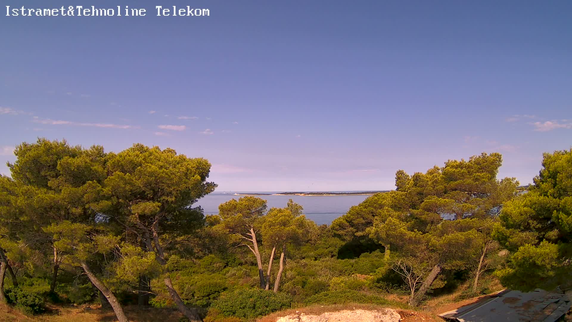 A tranquil coastal scene under a clear blue sky shows a calm sea beyond a dense grove of green pine trees.