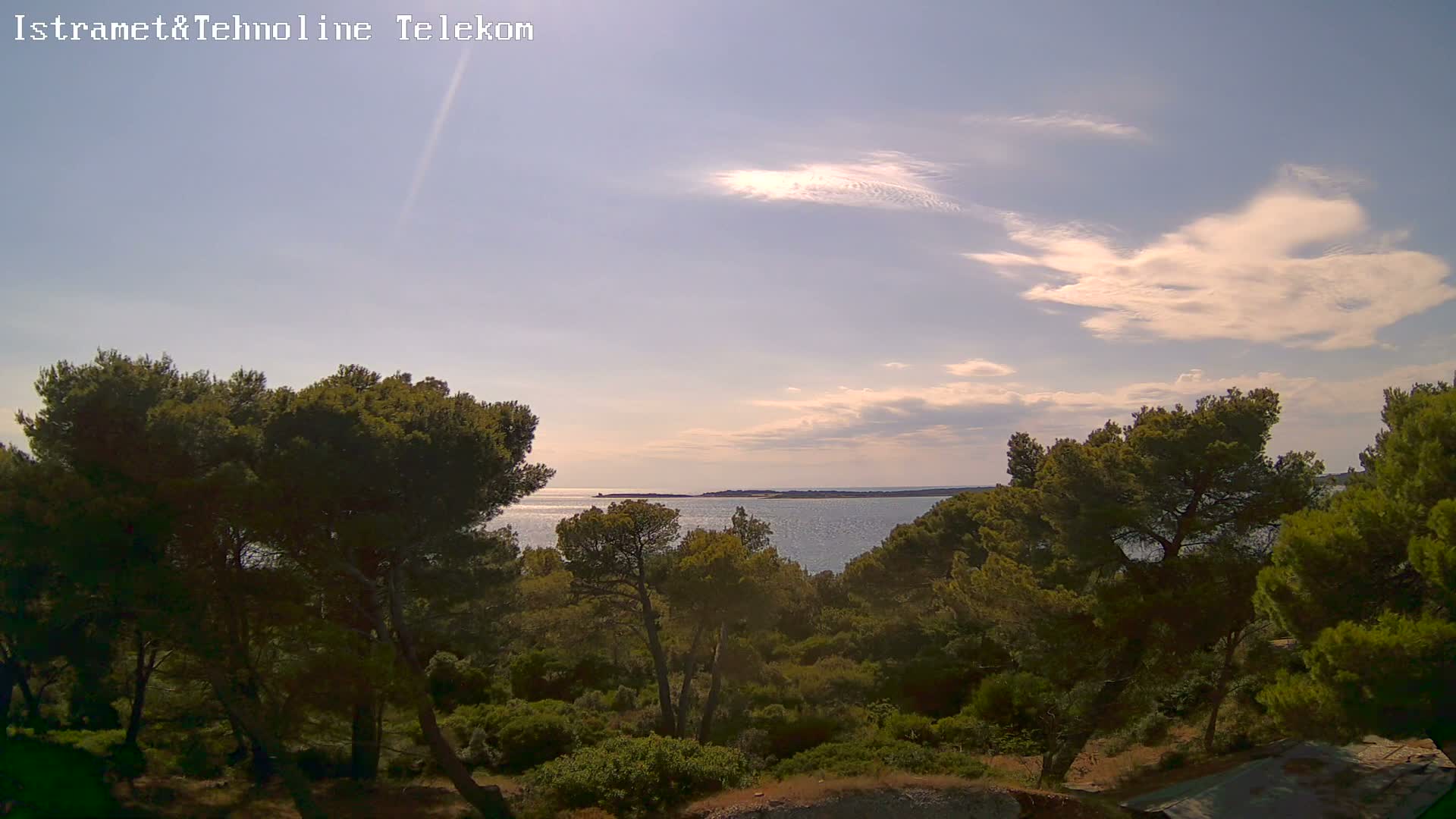 A tranquil coastal scene under a clear blue sky shows a calm sea beyond a dense grove of green pine trees.
