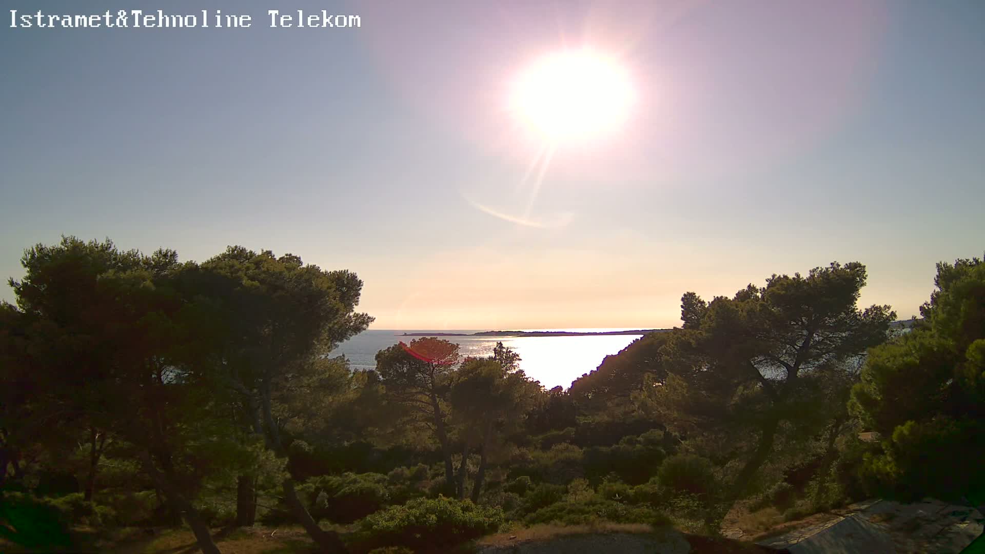 A bright sun shines over a calm sea viewed from a hillside covered in dark green pine trees.