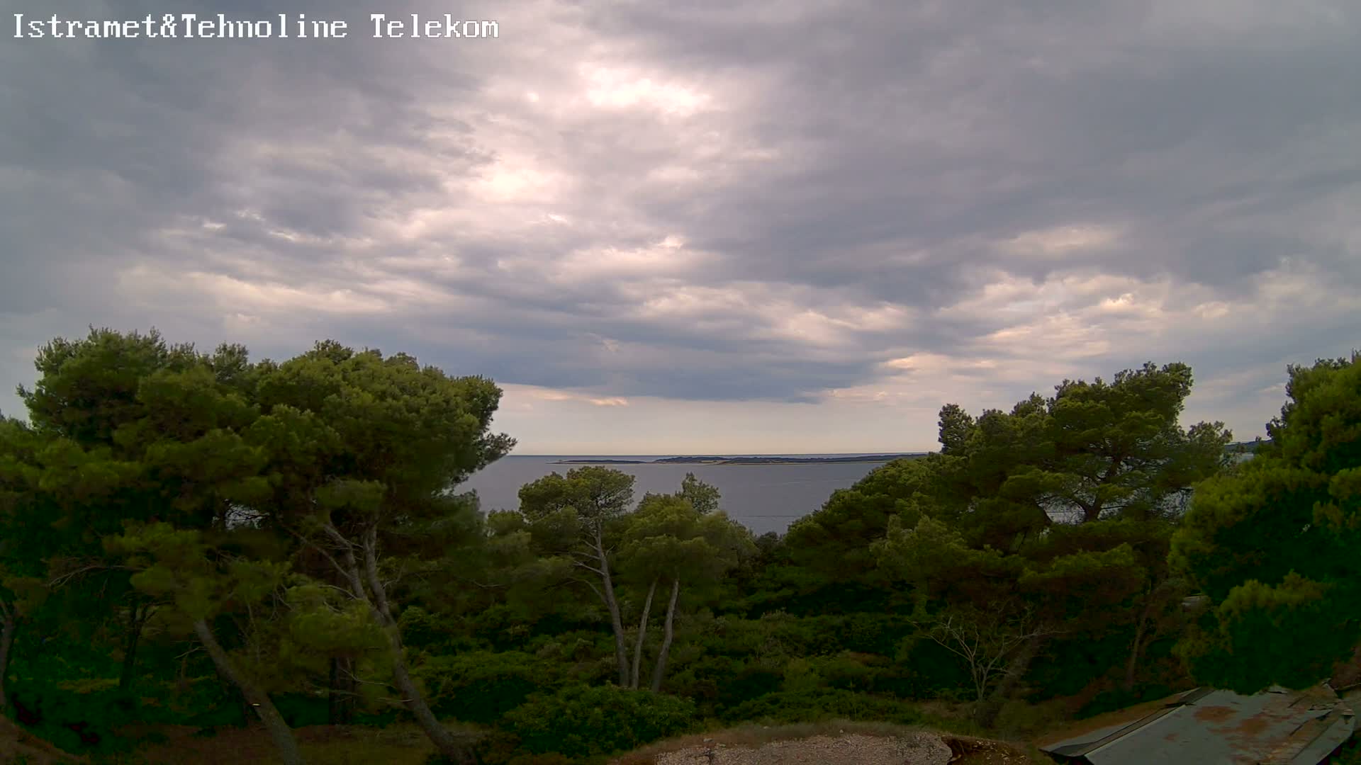A calm body of water is visible beyond a hillside covered in lush green pine trees under a partly cloudy sky.
