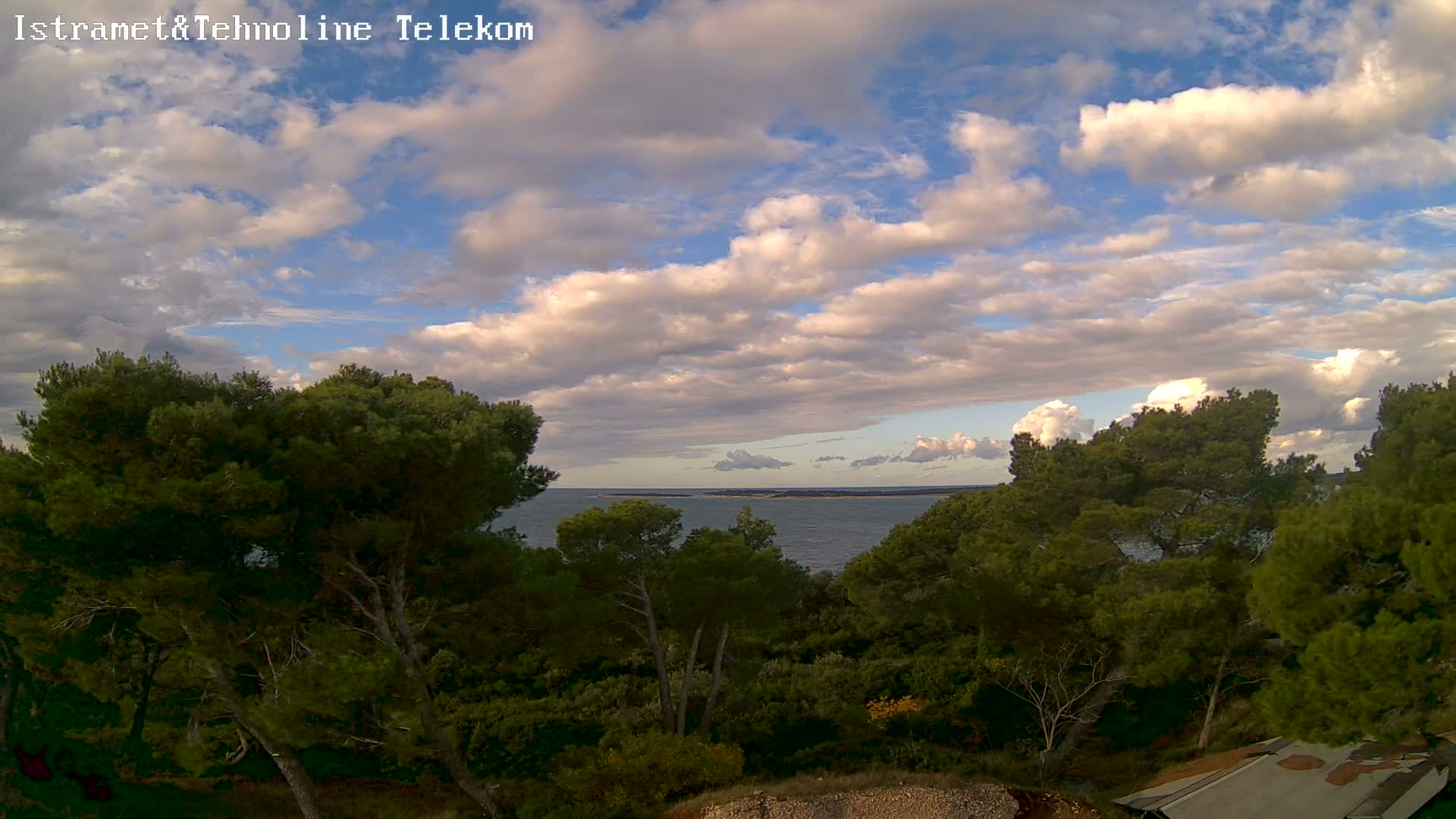 A coastal landscape is visible under a partly cloudy sky, with dense green trees in the foreground framing a calm body of water that extends to a distant landmass on the horizon.