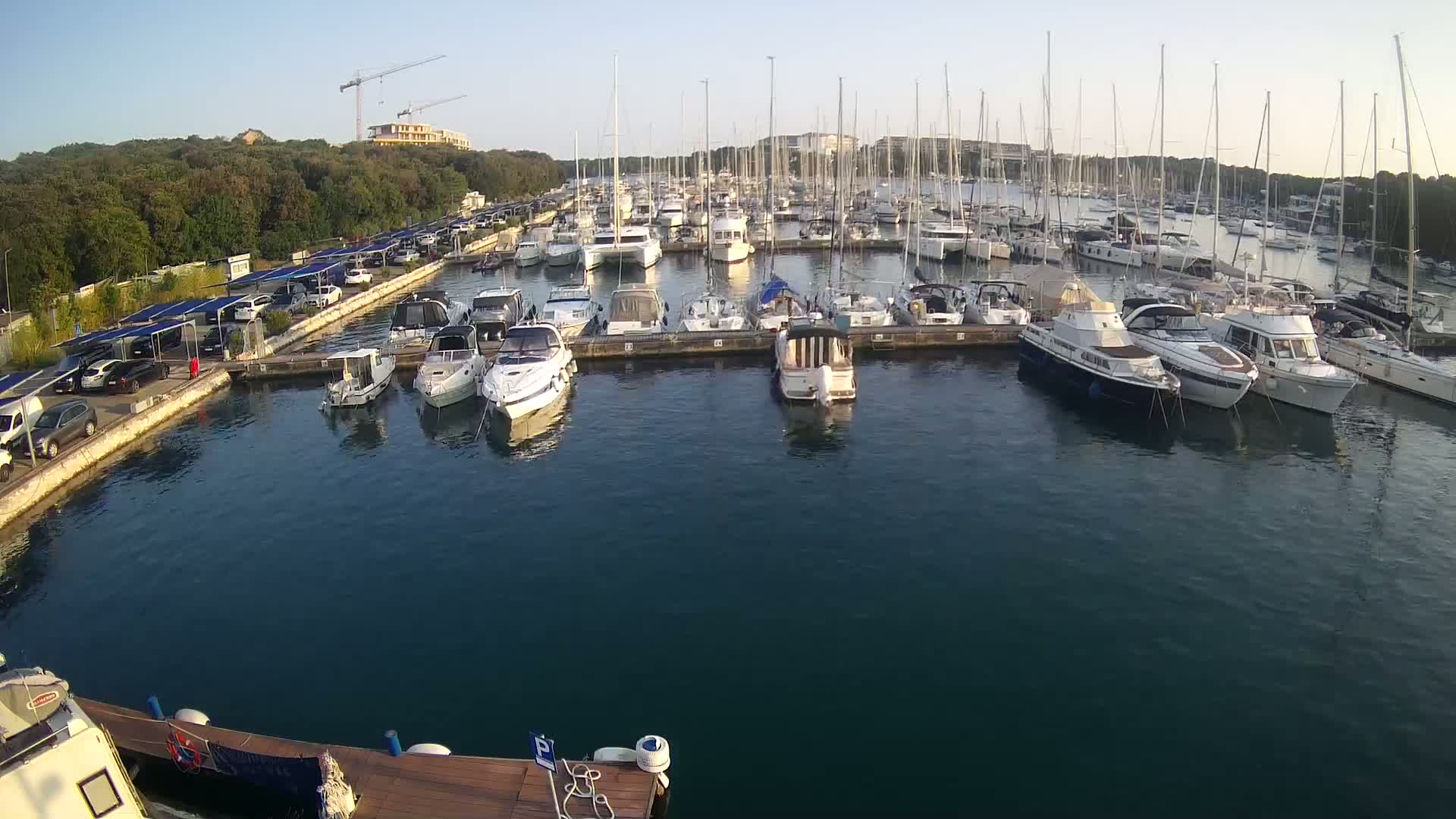 A marina filled with numerous boats and yachts under a clear, sunny sky, with a parking lot and trees visible in the background.