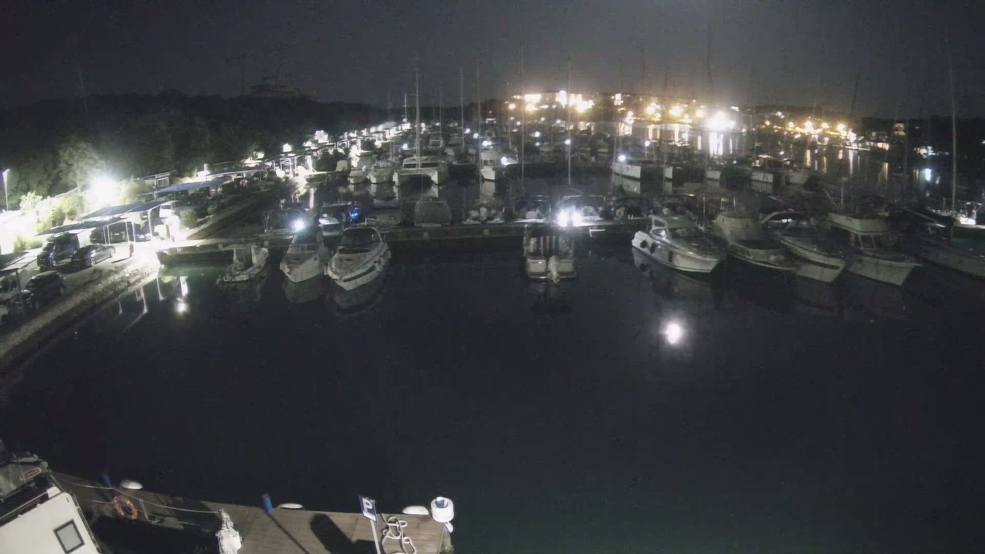 A marina filled with boats at night, under a dark sky with a faint moon.