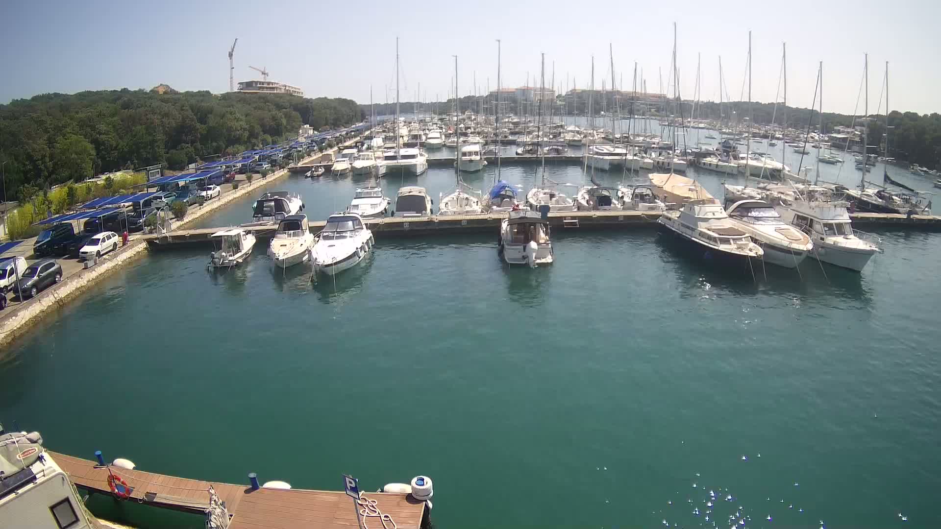 A marina filled with numerous boats and yachts on a sunny day, with a parking lot and forested area visible in the background.