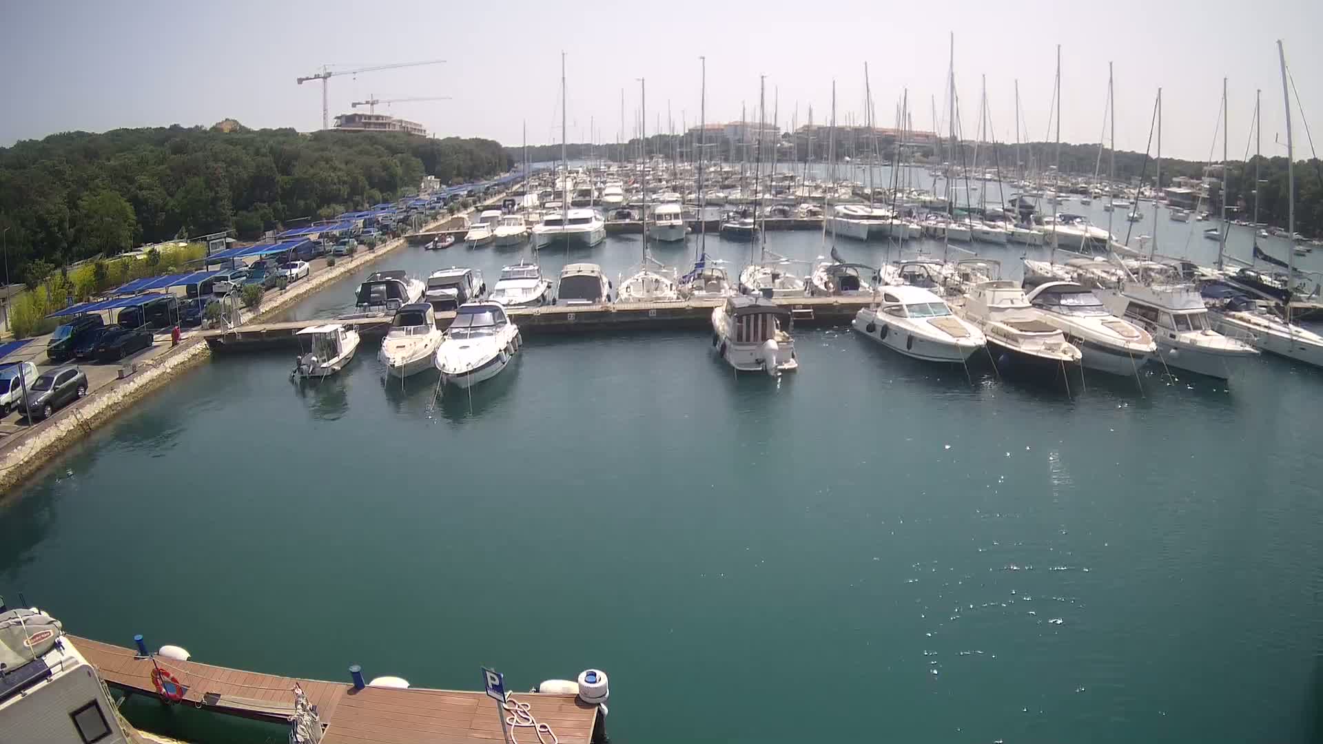 A marina filled with numerous boats and yachts on a sunny day, with a parking lot and green trees visible in the background.