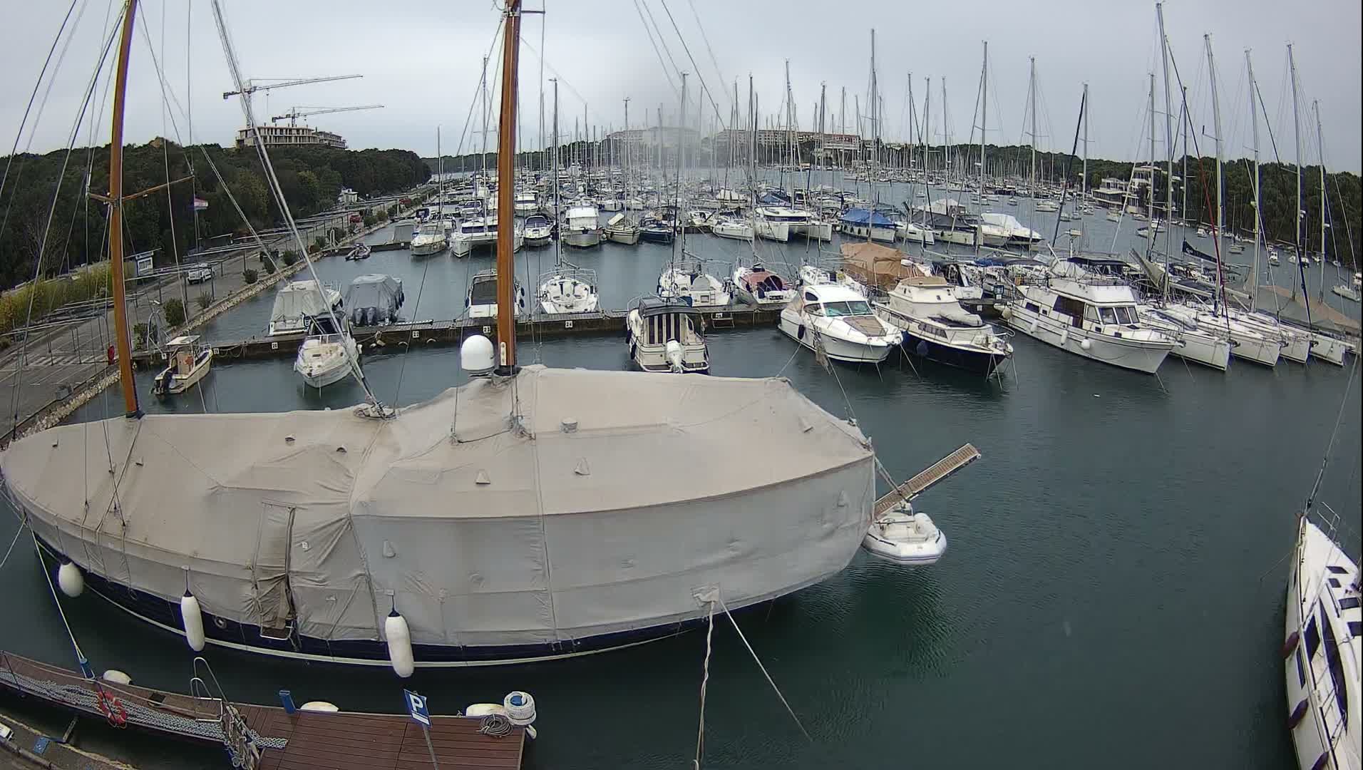 A marina filled with numerous sailboats and motorboats is shown on a sunny day with clear skies.