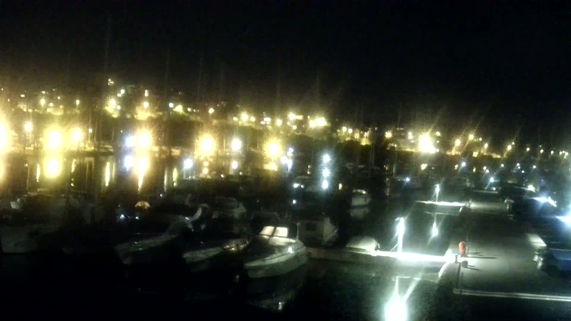 Numerous boats are docked at a marina at night, illuminated by many lights along the water and on shore.