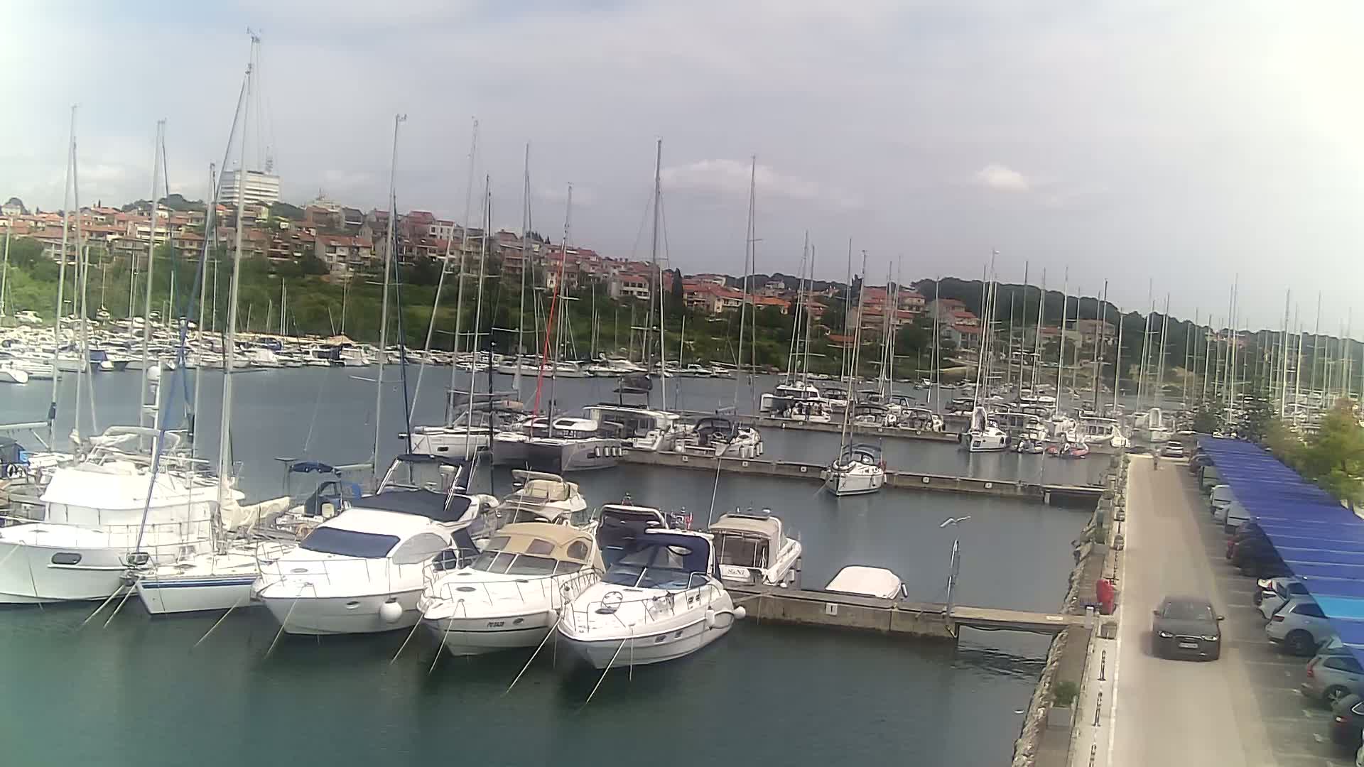 Many sailboats and motorboats are docked in a marina on a partly cloudy day, with a hillside of houses visible in the background.