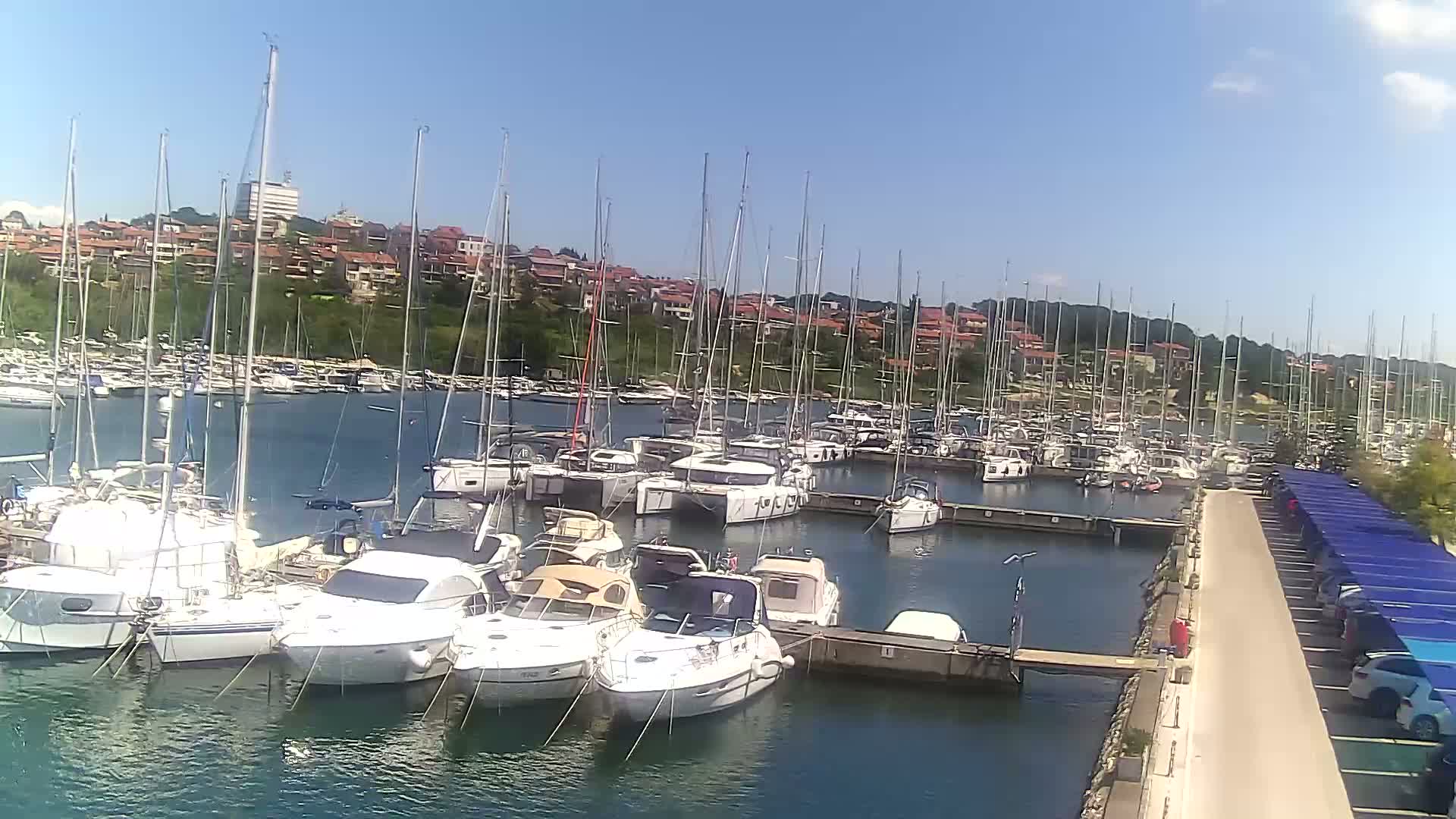 Many sailboats and motorboats are docked in a marina on a sunny day, with a residential area visible in the background.