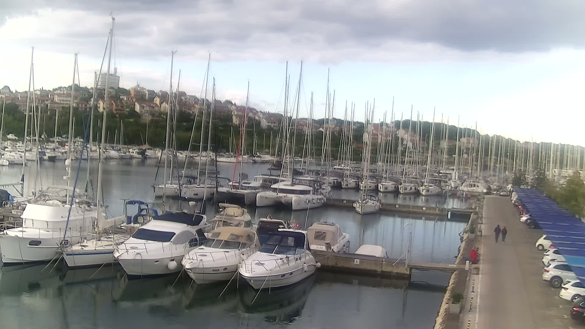 Many sailboats and motorboats are docked in a marina on a cloudy day, with a town visible in the background.