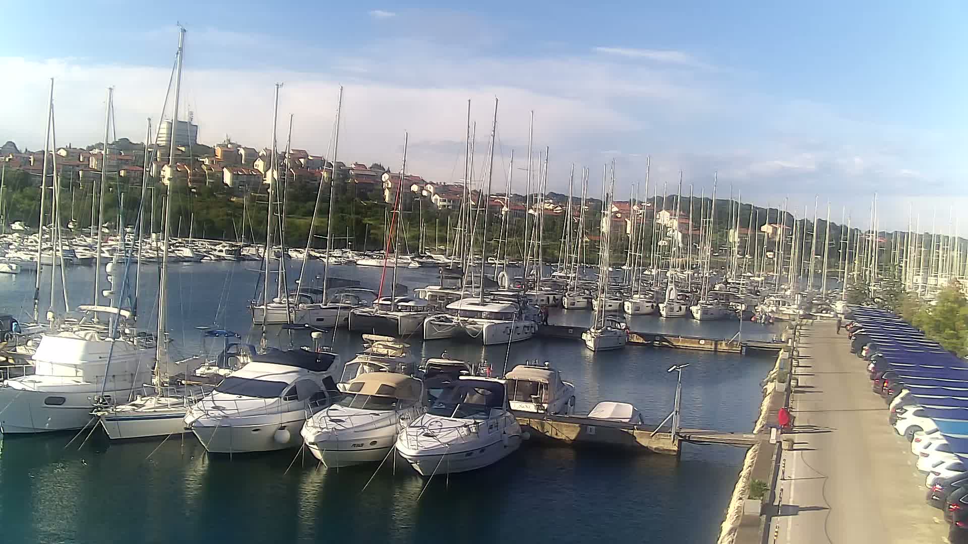 A marina filled with numerous sailboats and motorboats is situated near a residential area on a sunny day.