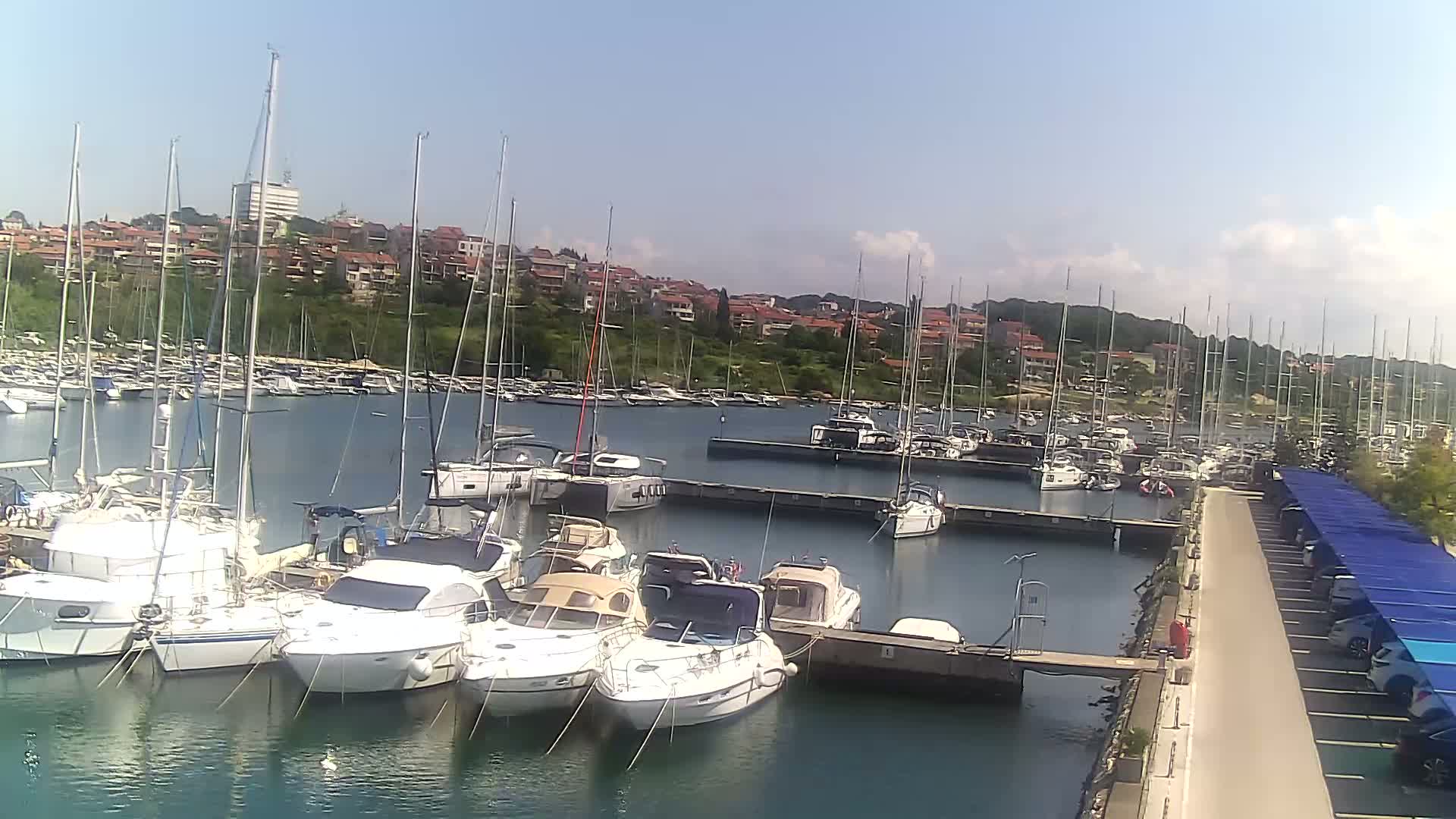 A marina filled with numerous sailboats and motorboats is situated next to a parking lot under a sunny sky.