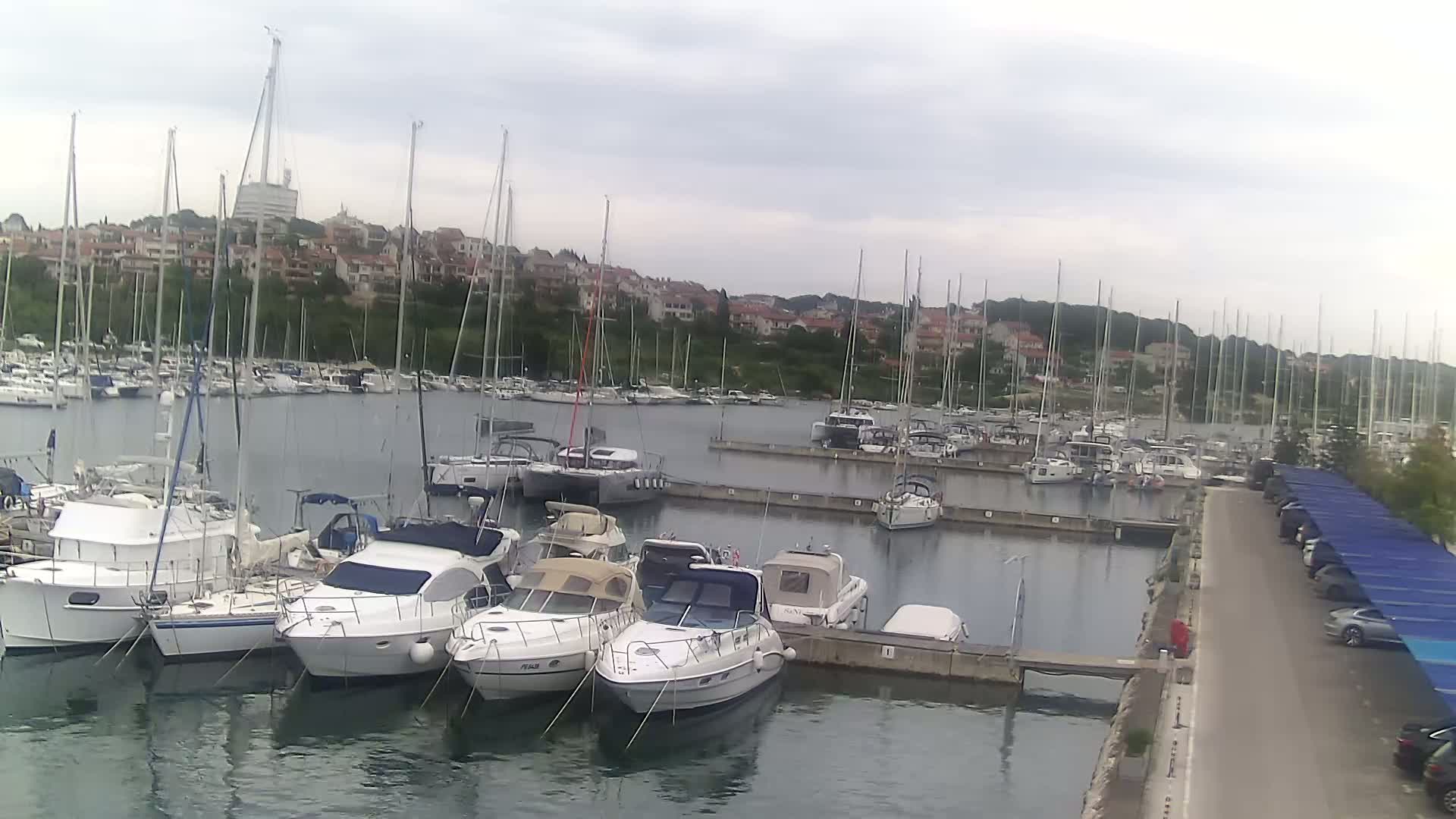 Numerous sailboats and motorboats are docked in a marina on a cloudy day, with a residential area visible in the background.