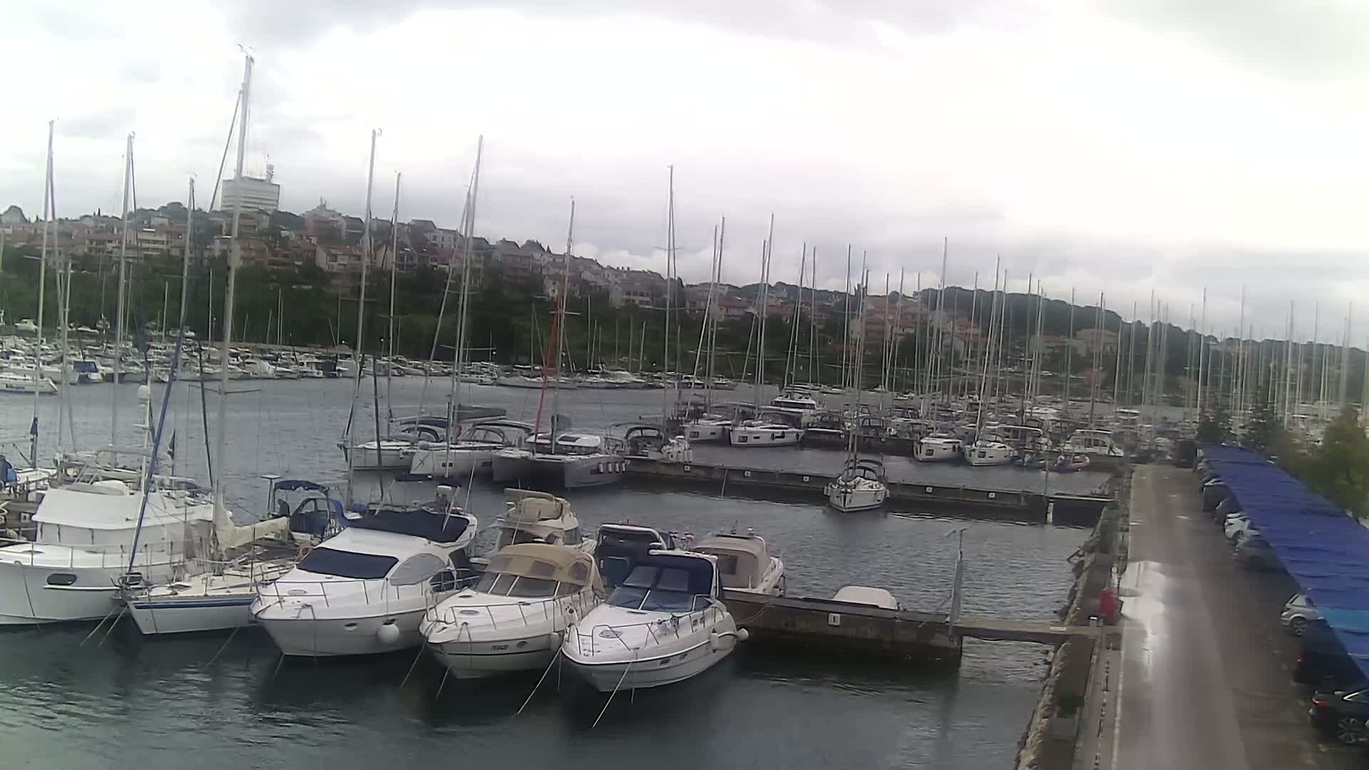 Many sailboats and motorboats are docked in a marina on a cloudy day.