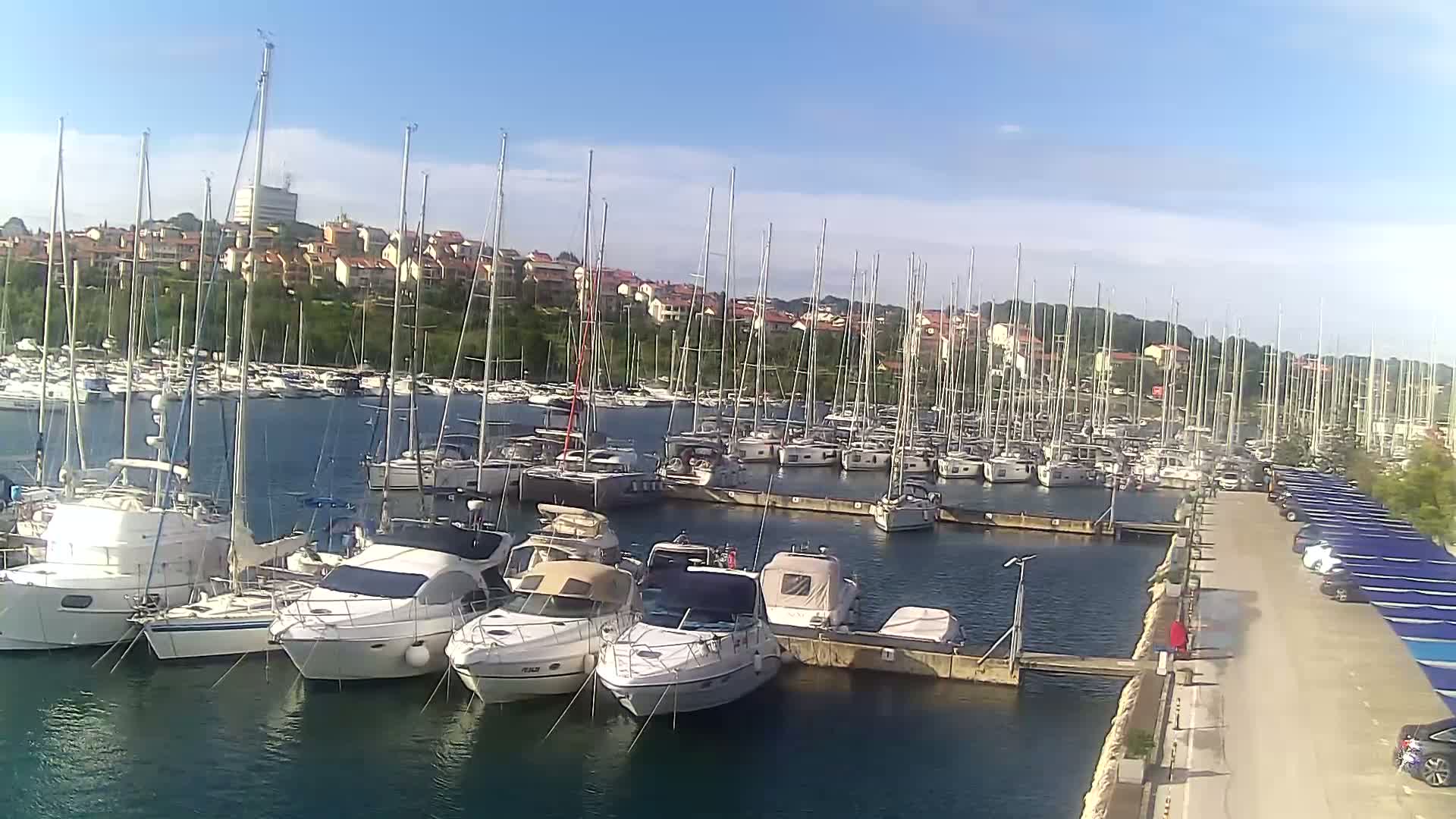 A marina filled with numerous sailboats and motorboats is situated on calm water under a clear, sunny sky, with a hillside of houses and trees in the background.