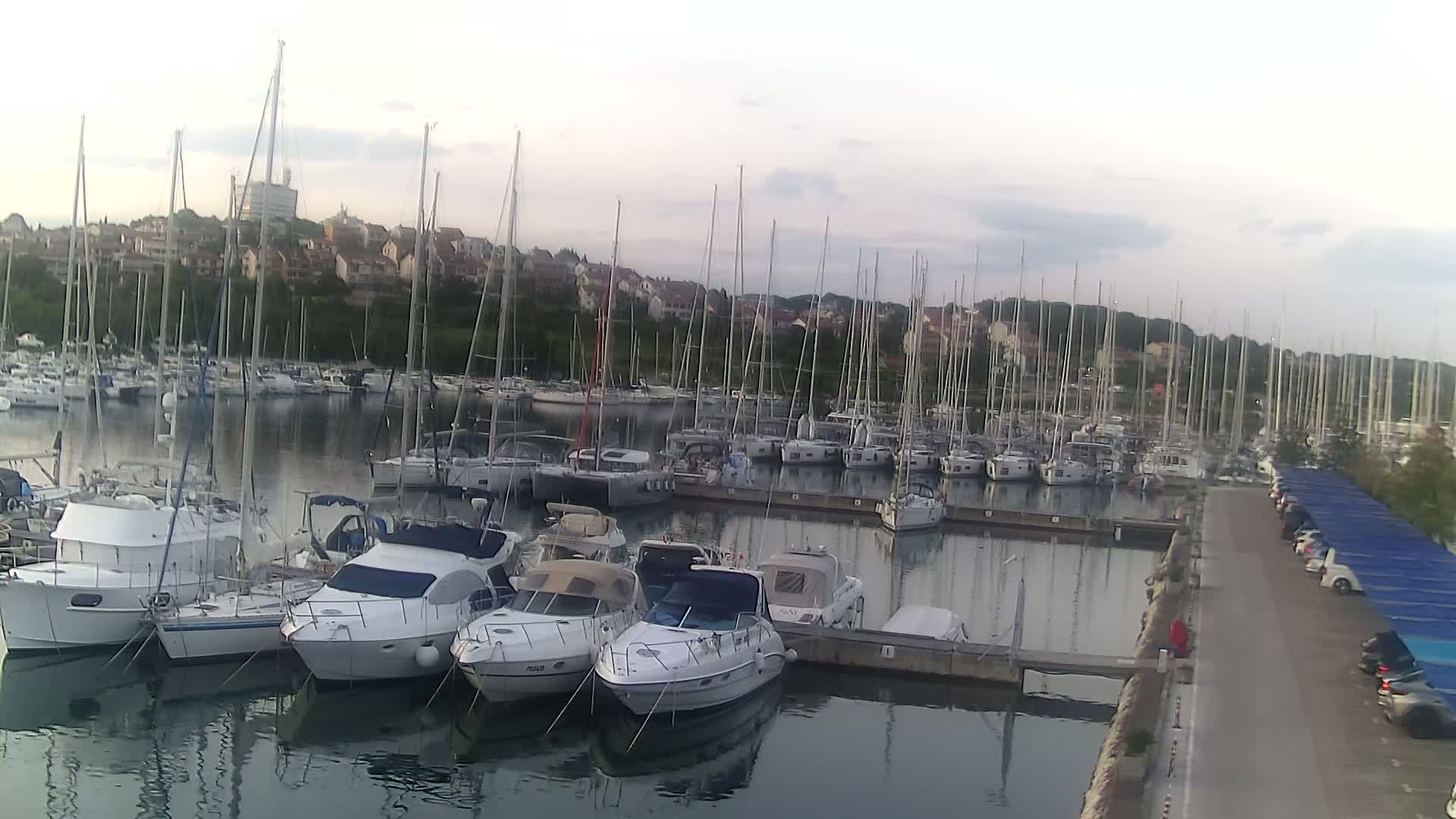 A marina filled with numerous sailboats and motorboats is situated along a calm body of water under an overcast sky.