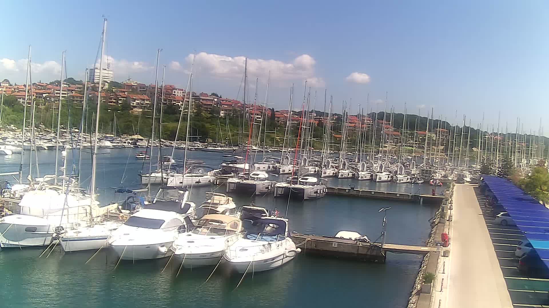 Numerous sailboats and motorboats are docked in a marina on a sunny day, with a hillside of buildings visible in the background.