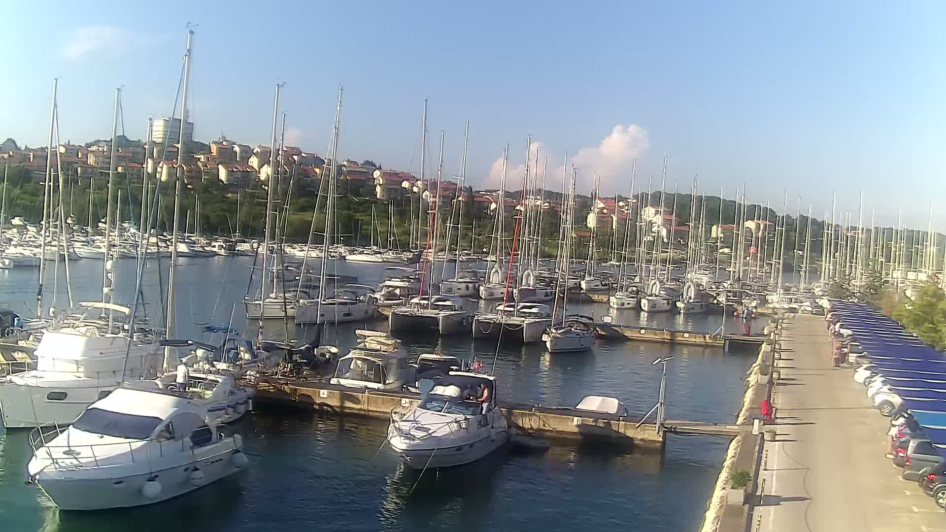 A marina filled with sailboats and motorboats on a calm, sunny day, with a residential area visible in the background.