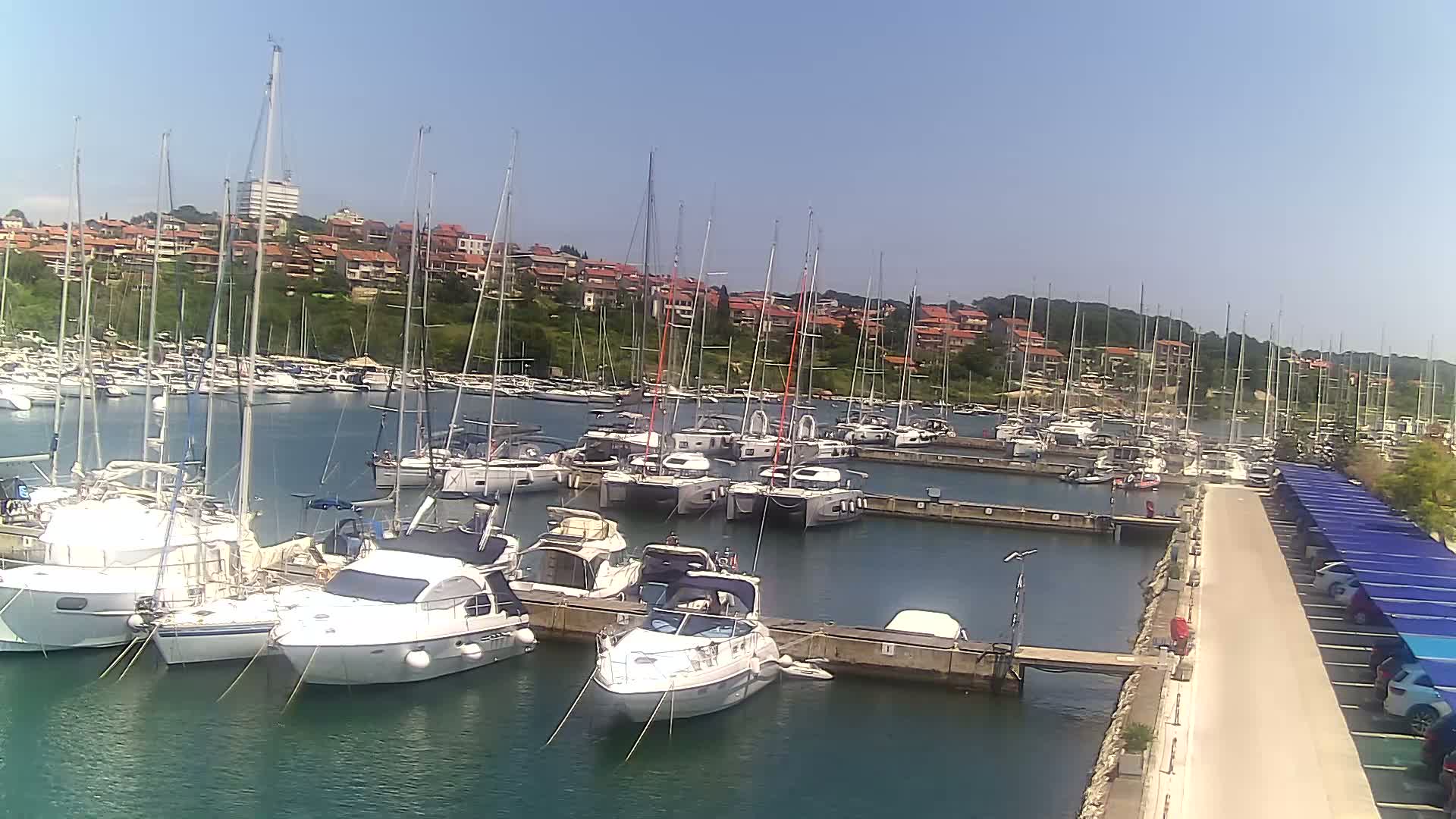 A marina filled with numerous sailboats and motorboats on a sunny day, with a hillside of houses visible in the background.