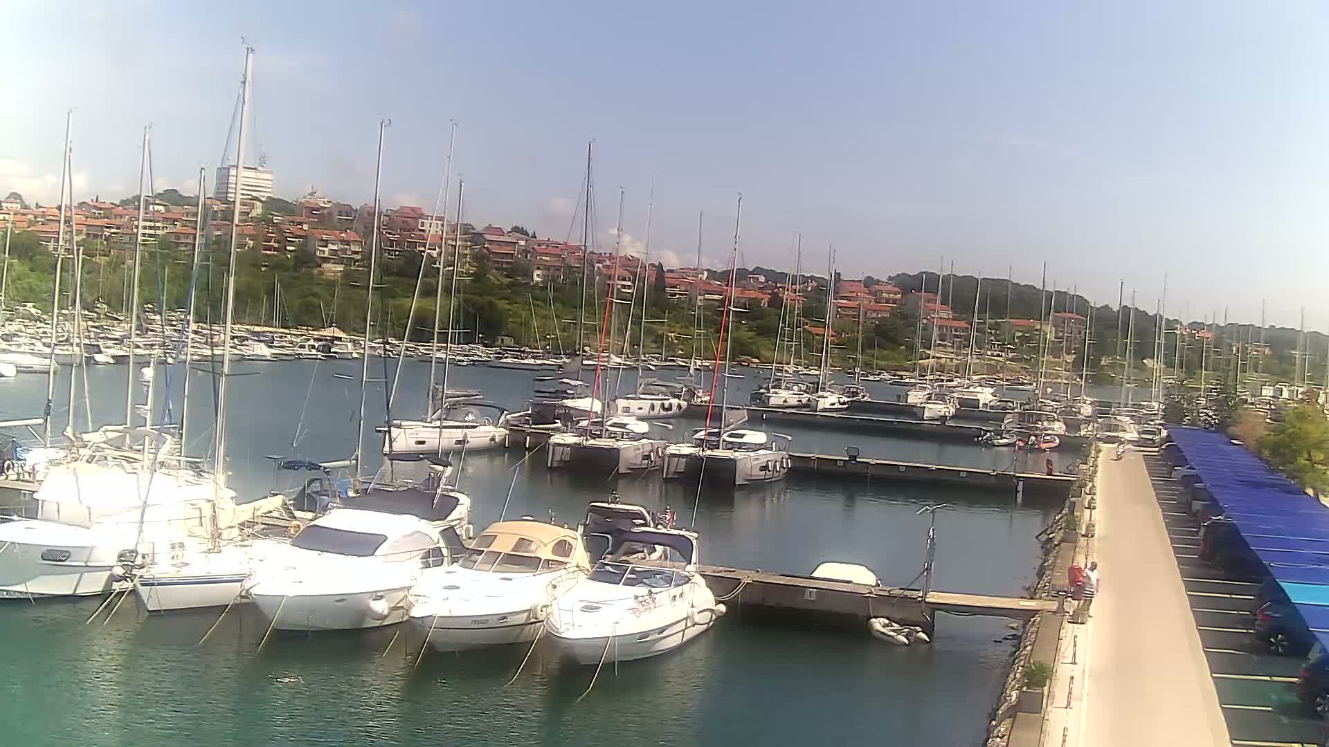 A marina filled with sailboats and motorboats on a sunny day, with a residential area visible in the background.