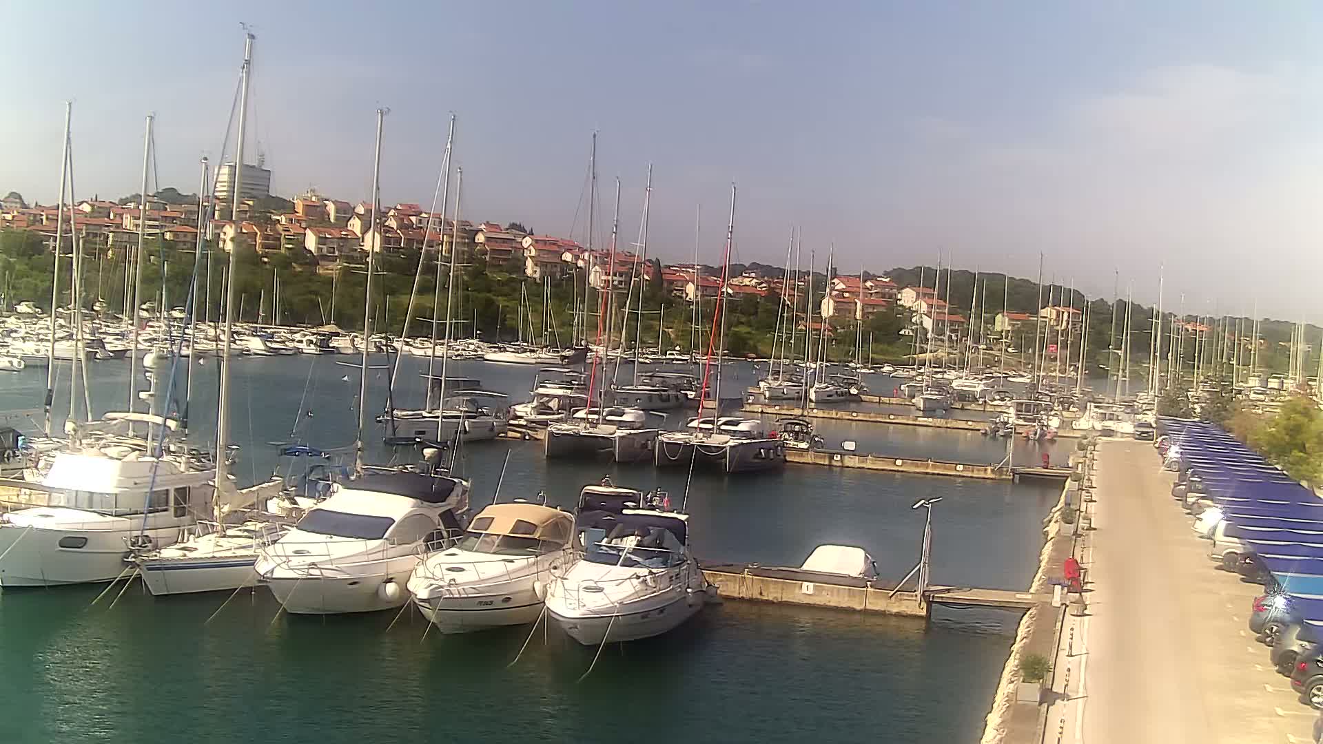 A marina filled with numerous sailboats and motorboats on a sunny day, with a residential area visible in the background.