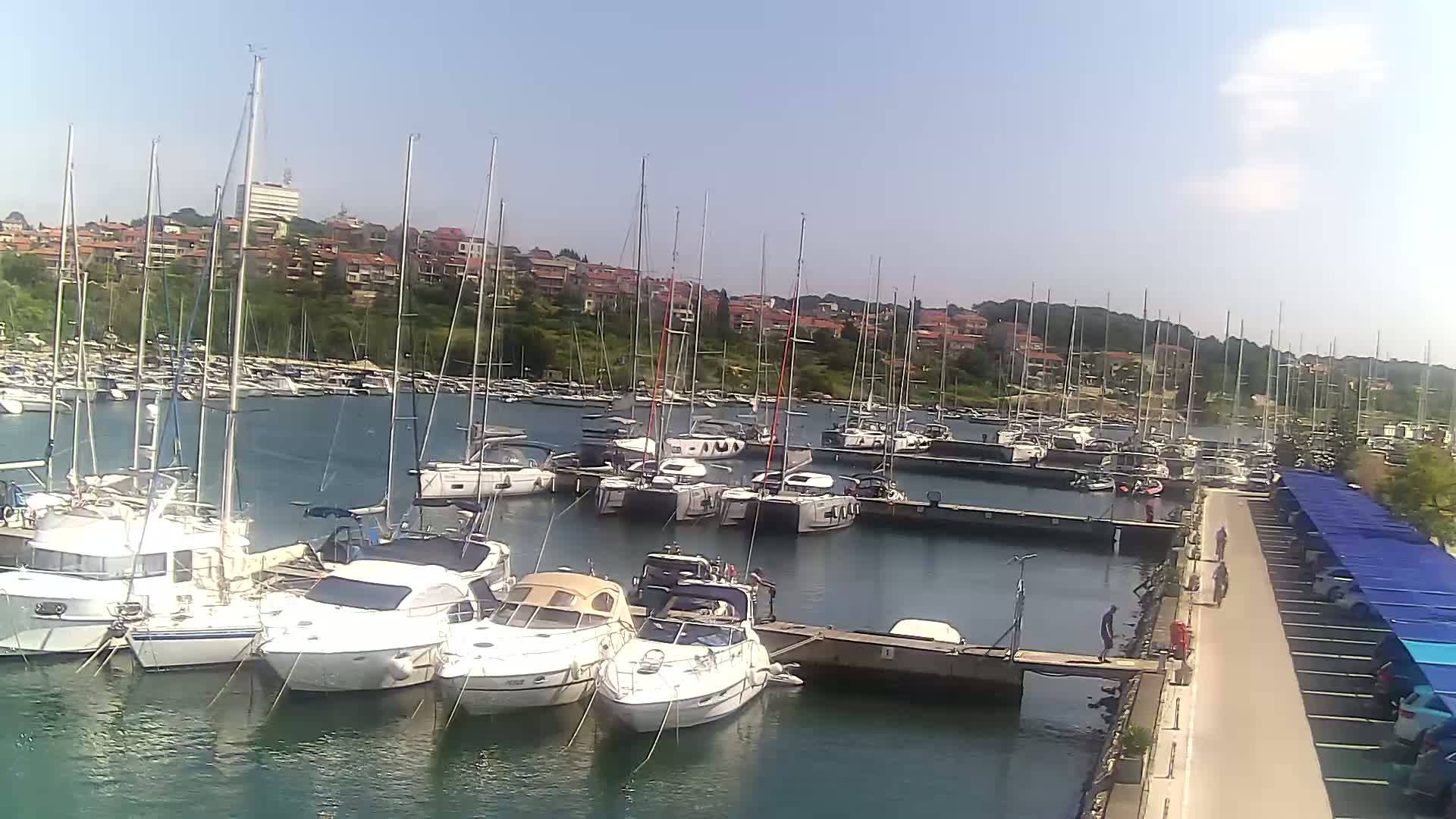 Many sailboats and motorboats are docked in a marina on a sunny day.