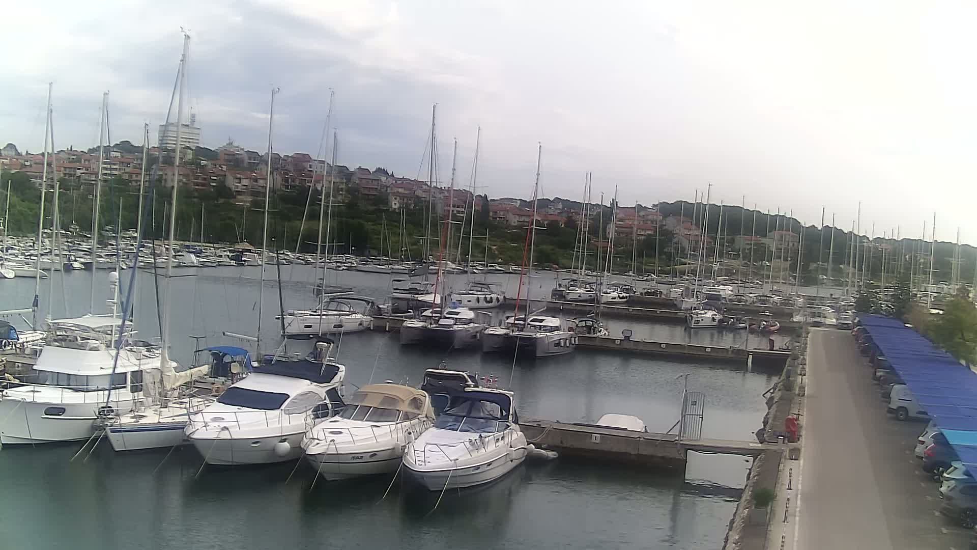 Numerous sailboats and motorboats are docked in a marina on a cloudy day, with a residential area visible in the background.