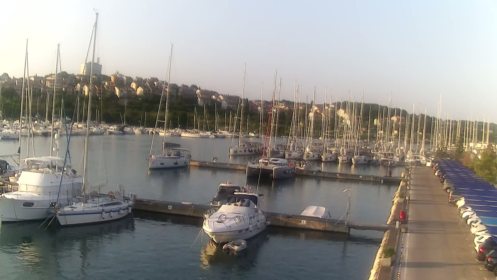 Many sailboats and motorboats are docked in a marina on a calm, sunny day.