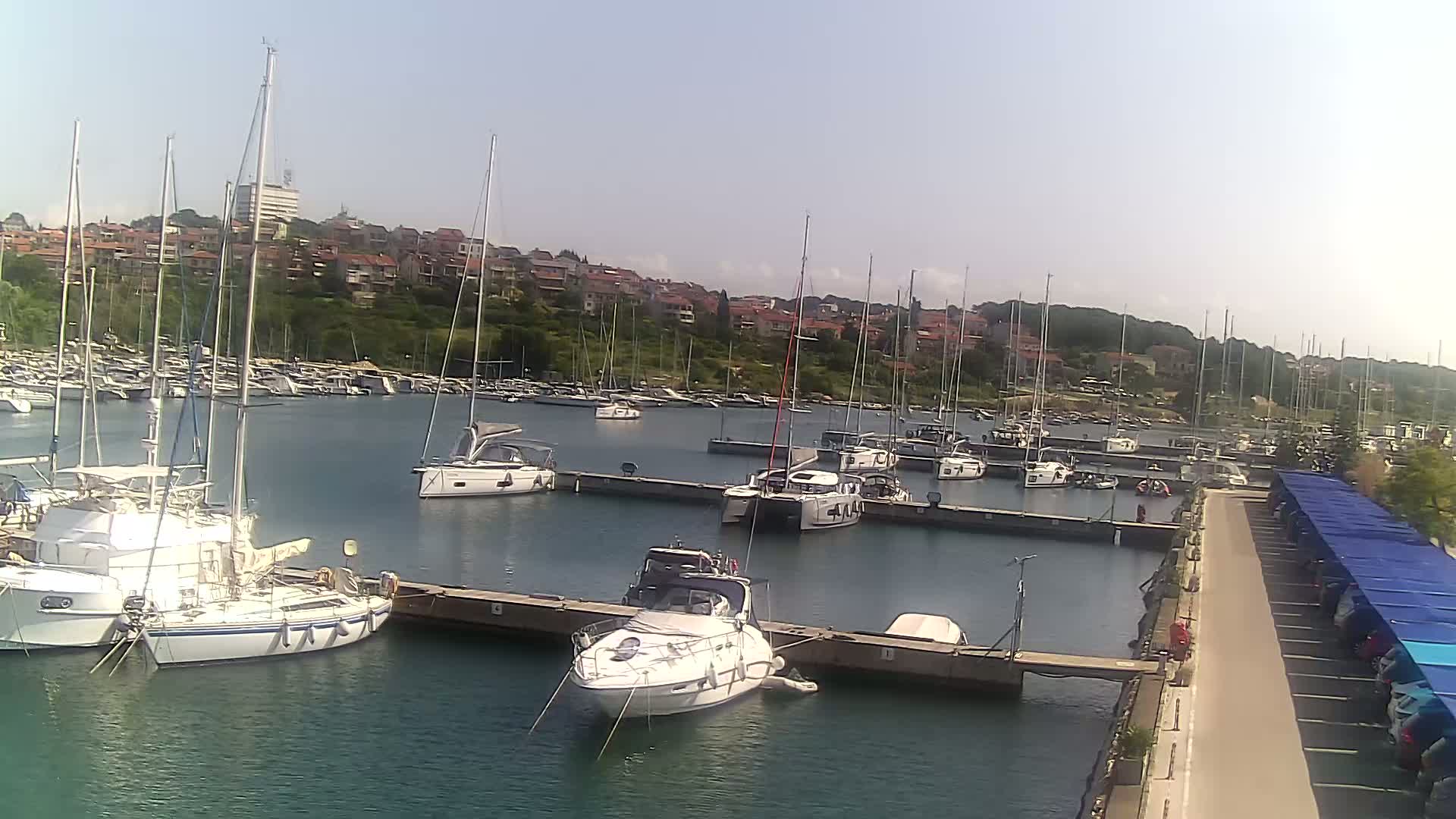 Many sailboats and motorboats are docked in a marina on a calm, sunny day, with a residential area visible in the background.