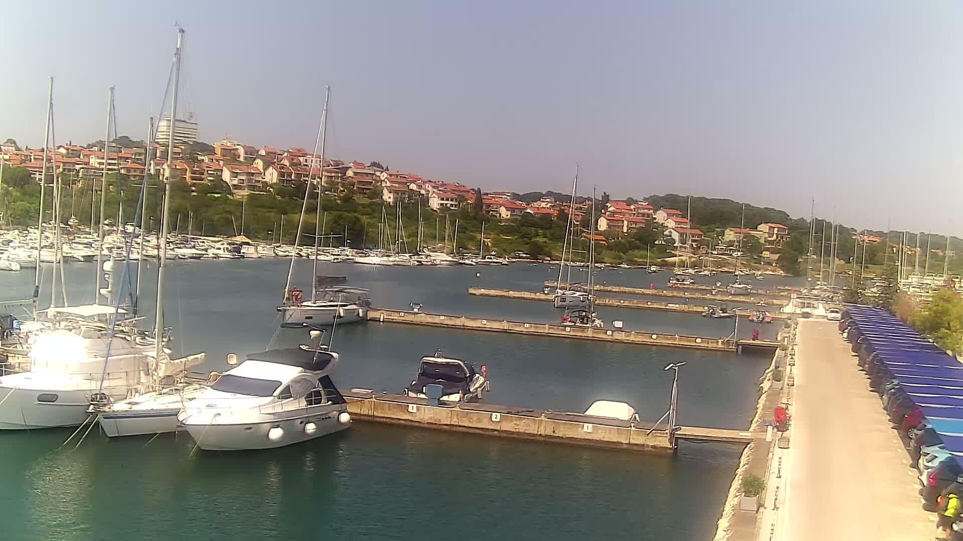 A marina filled with sailboats and motorboats on a sunny day, with a hillside of houses in the background.