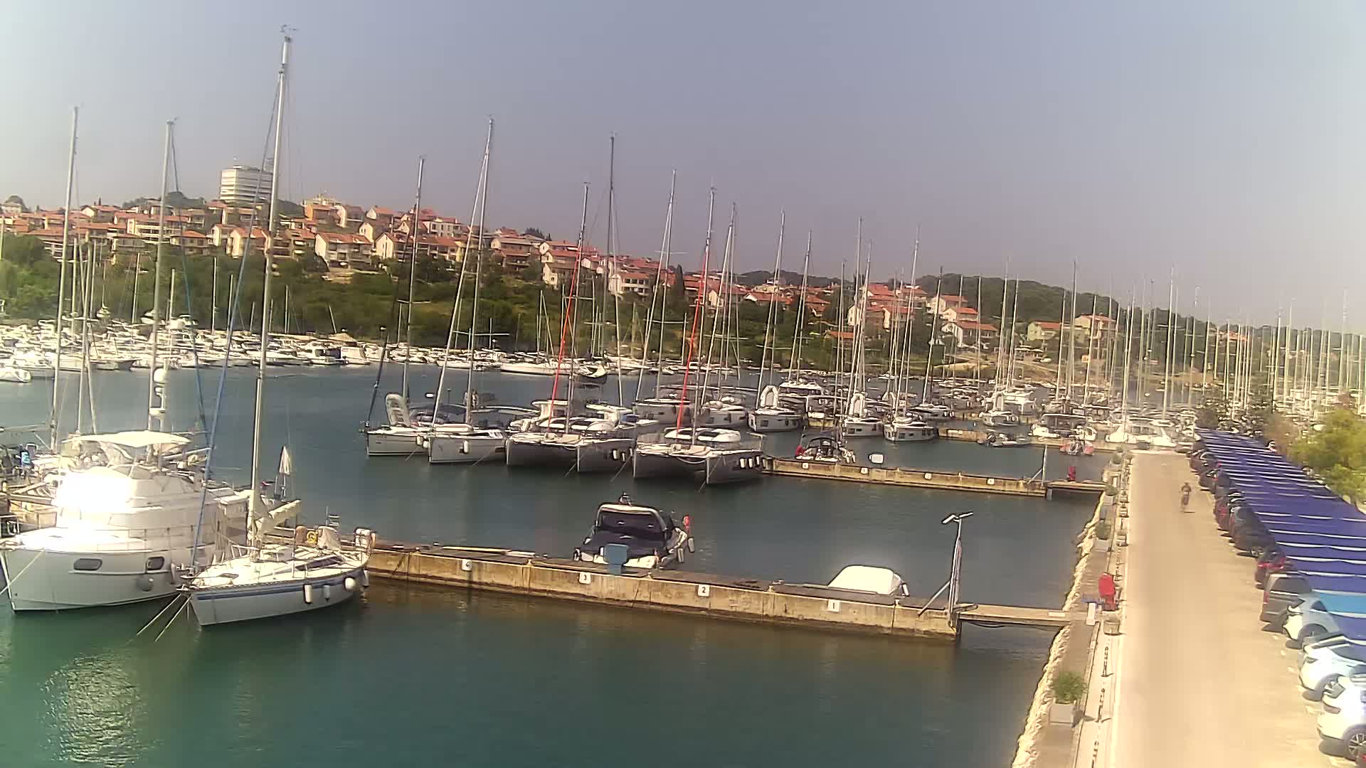 A marina filled with numerous sailboats and motorboats on a sunny day, with a shoreline lined with buildings and a parking lot.