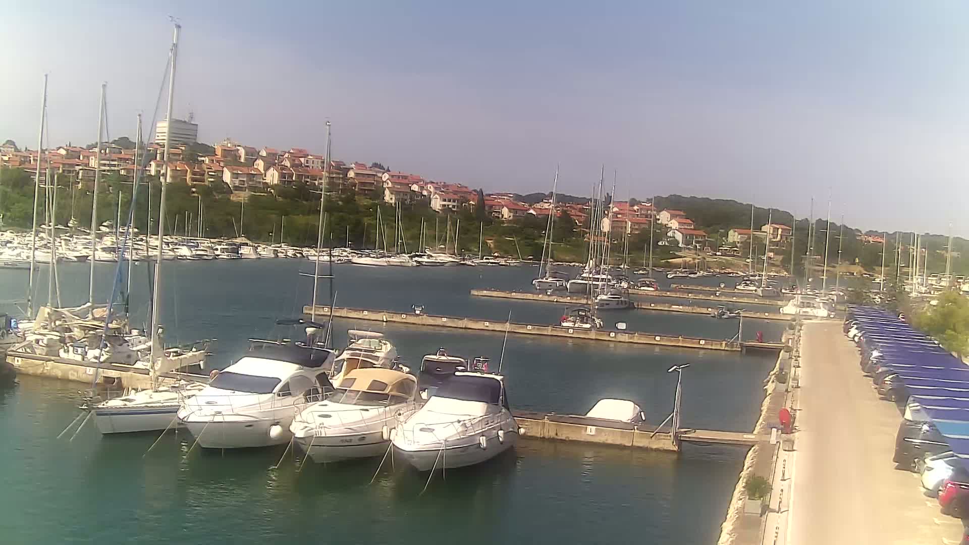 A marina filled with sailboats and motorboats on a sunny day, with a residential area visible in the background.